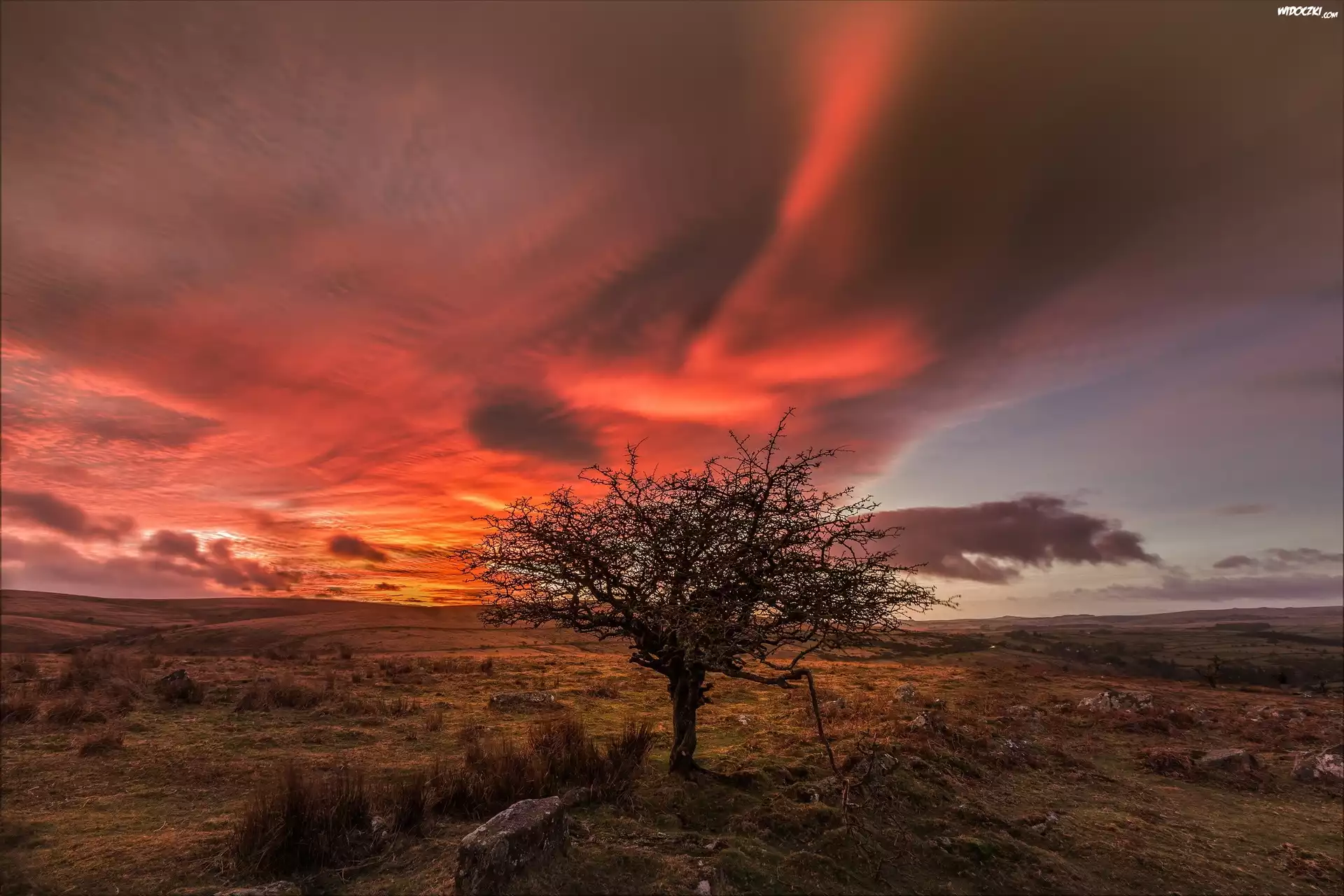 Anglia, Park Narodowy Dartmoor, Zachód Słońca, Łąki, Chmury, Drzewo, Kamienie