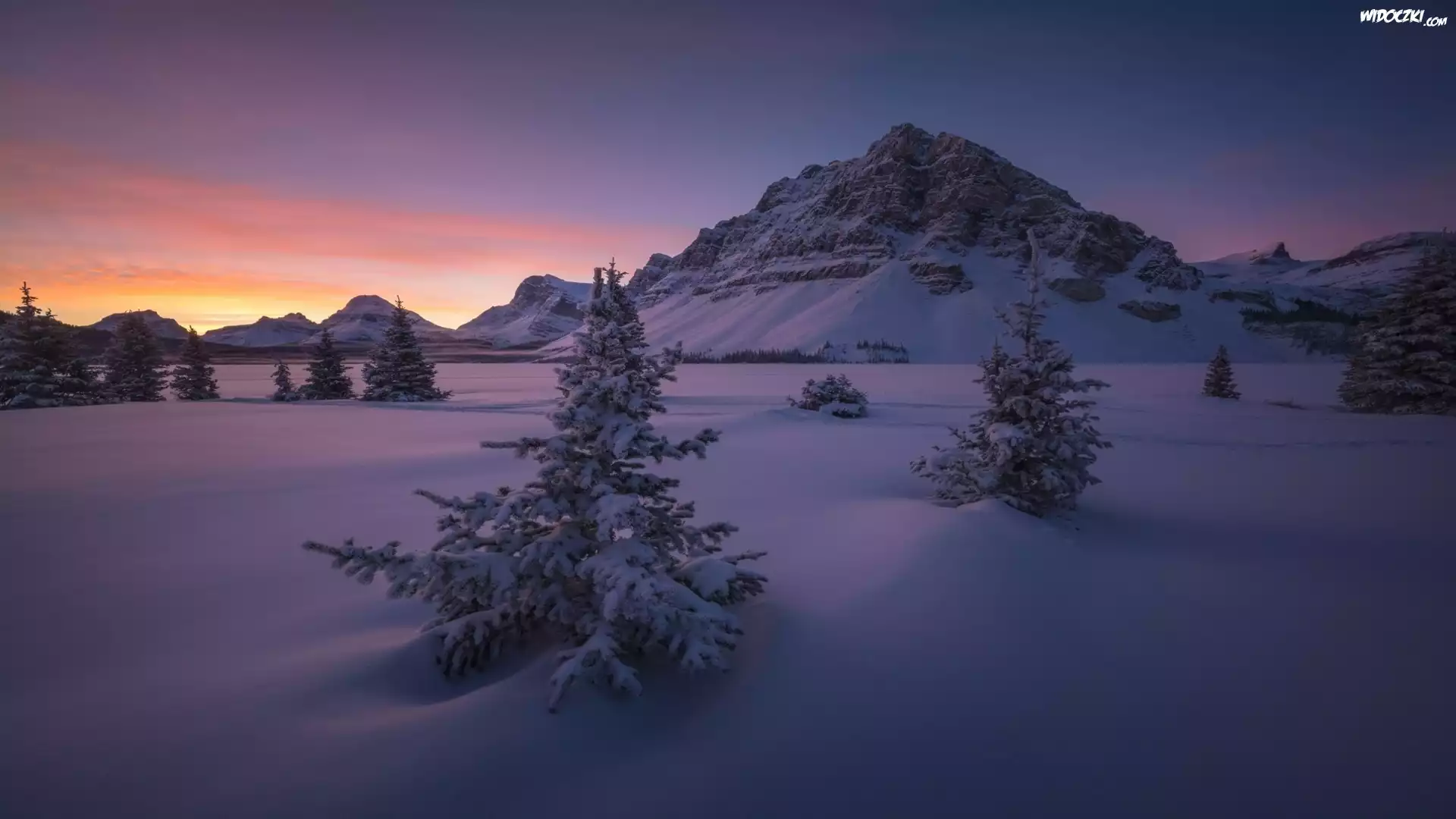 Kanada, Alberta, Park Narodowy Banff, Góra Crowfoot Mountain, Góry, Zima, Wschód słońca, Drzewa