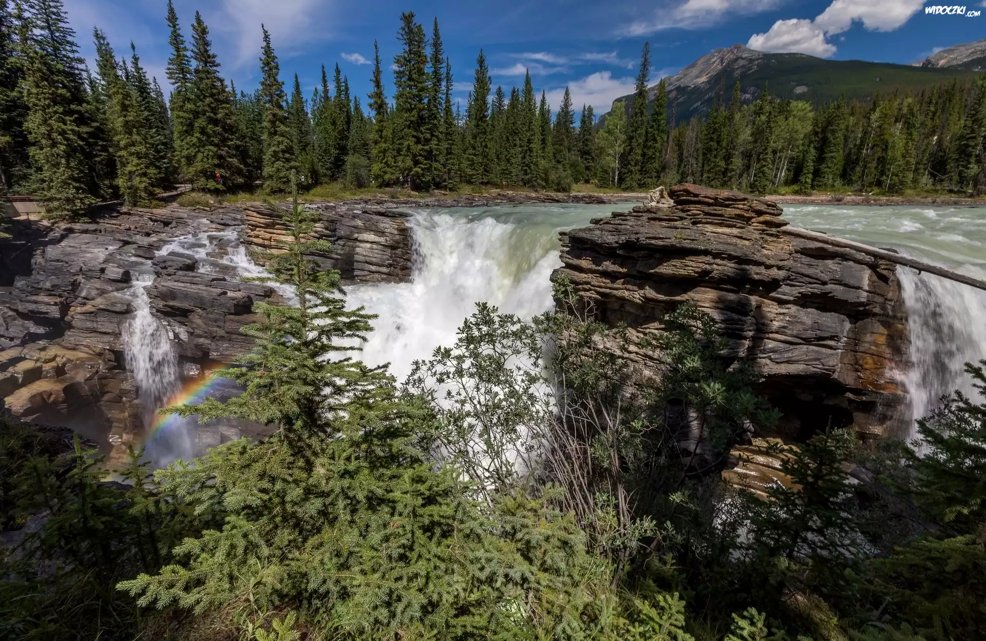 Kanada, Prowincja Alberta, Park Narodowy Jasper, Wodospad Athabasca, Rzeka Athabasca, Skały, Tęcza, Świerki