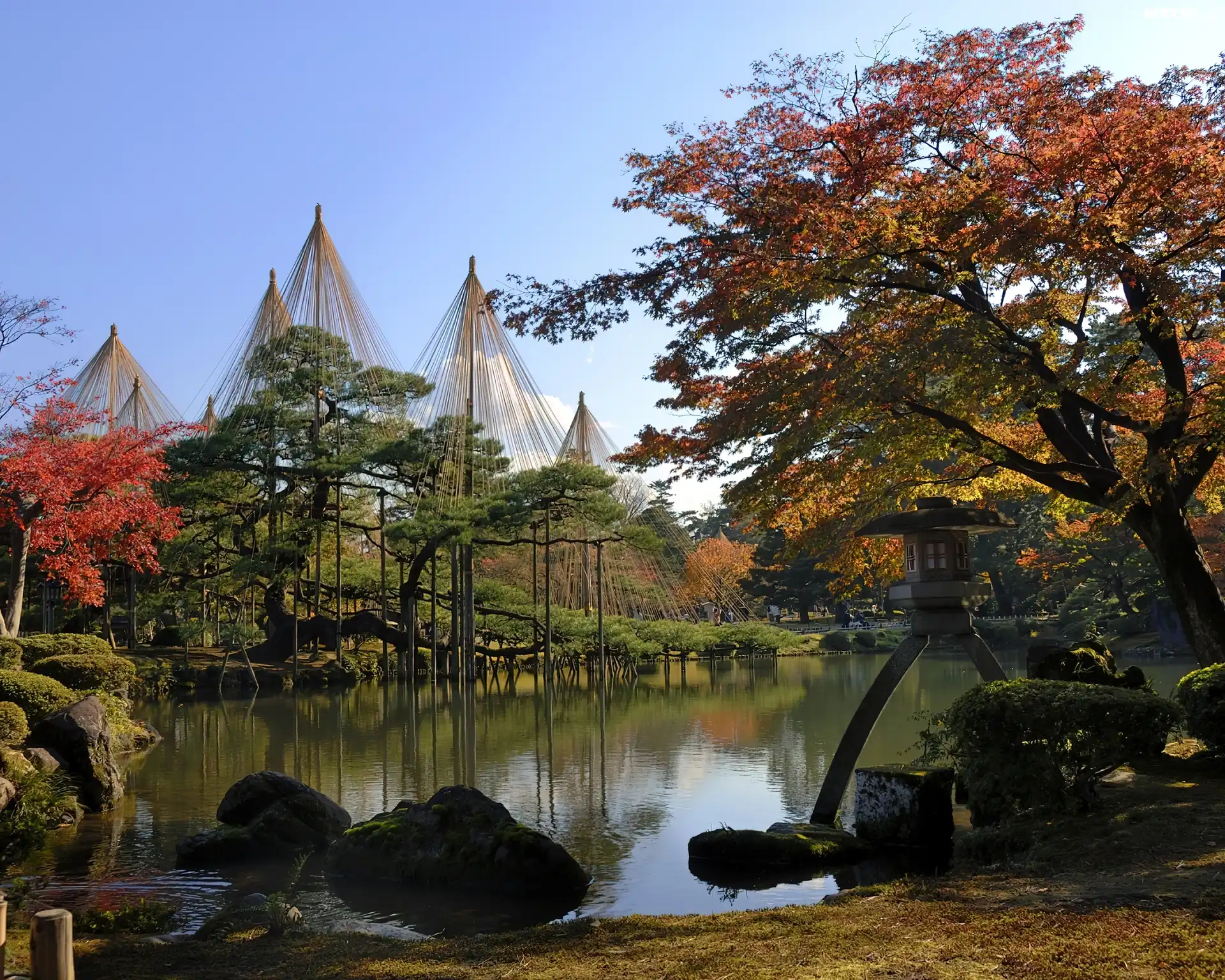 Ogród, Kanazawa, Japonia