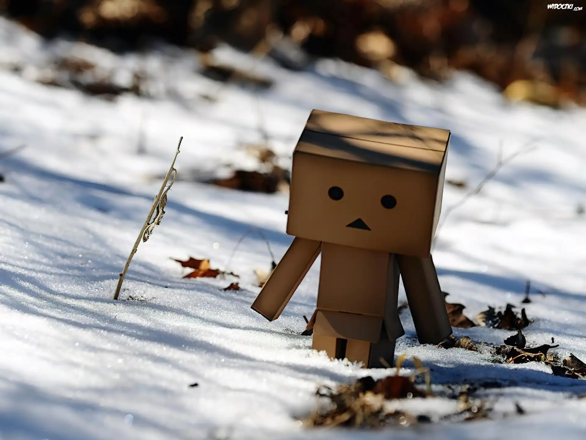Kartonowy, Ludzik, Danbo, Zima