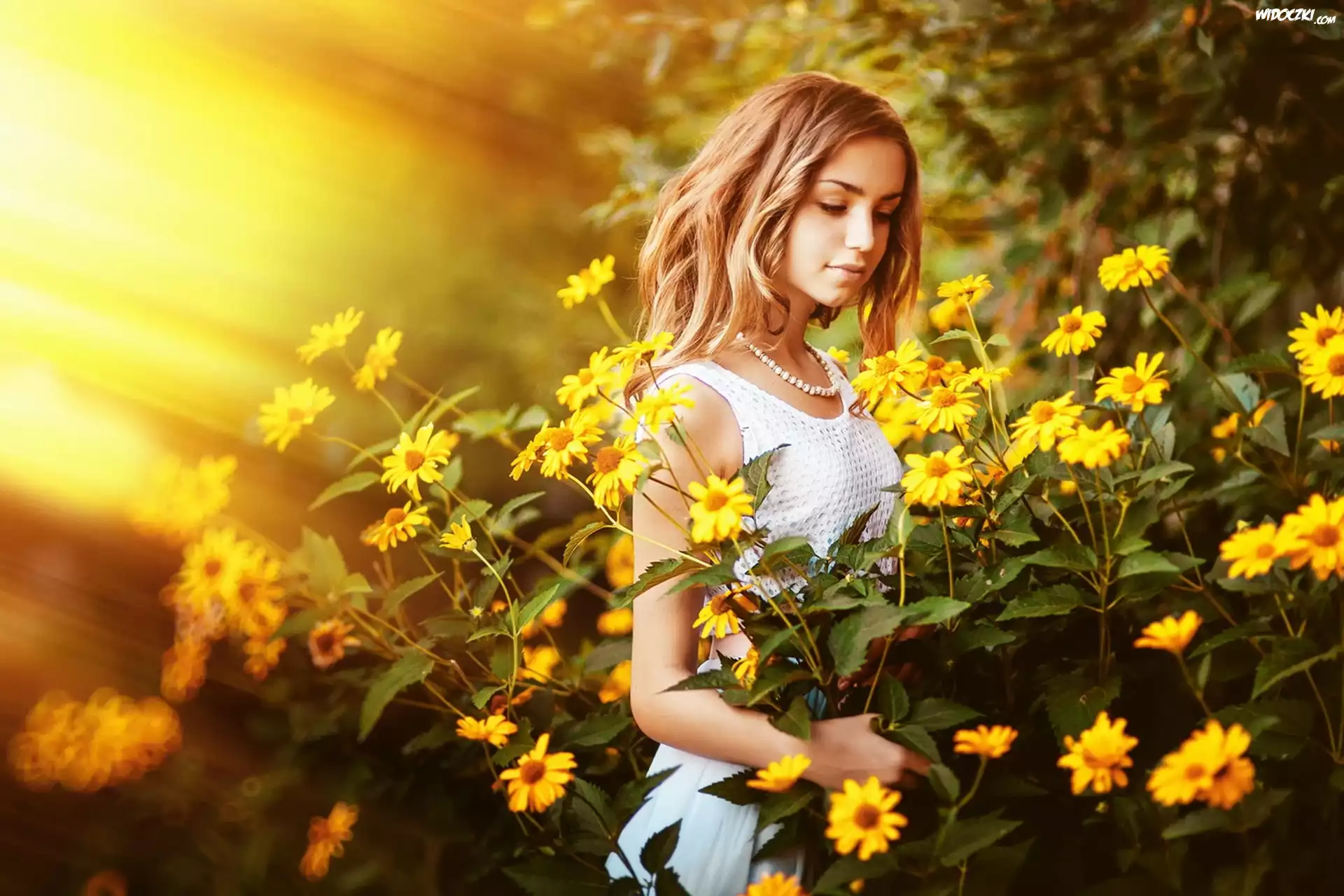 Kobieta, Żółte, Kwiaty, Rudbekia, Promienie, Słońca