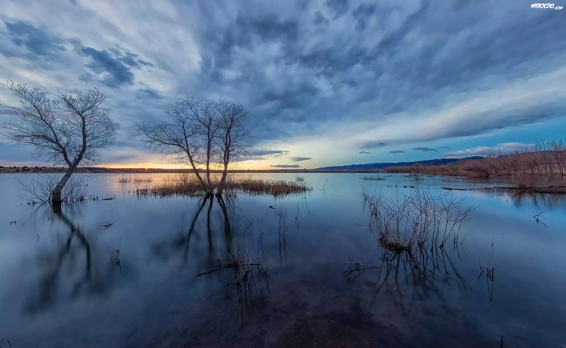 Poranek, Jezioro, Lake Chatfield, Chmury, Drzewa, Park stanowy Chatfield, Kolorado, Stany Zjednoczone