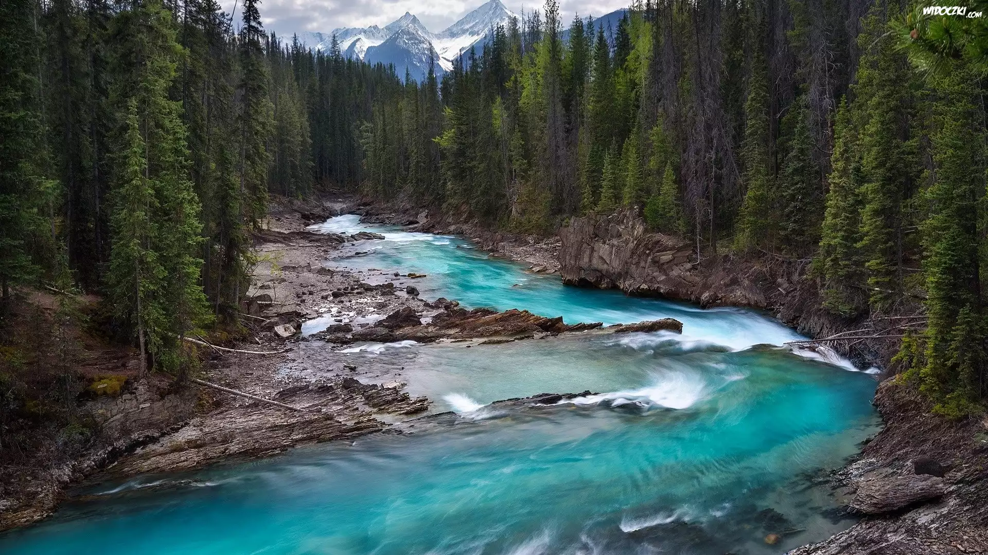 Kanada, Kolumbia Brytyjska, Rzeka Kicking Horse, Las, Góry