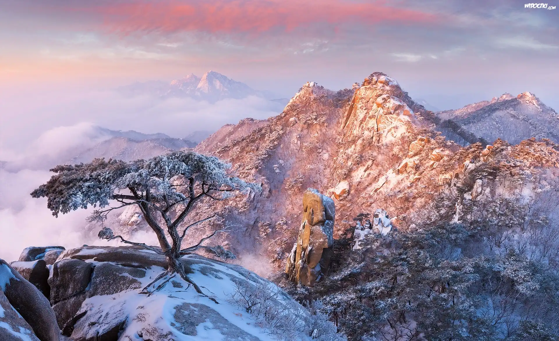 Korea Południowa, Prowincja Gyeonggi-do, Park Narodowy Bukhansan, Góry, Zima, Ośnieżone, Skały, Kamienie, Drzewa, Sosna