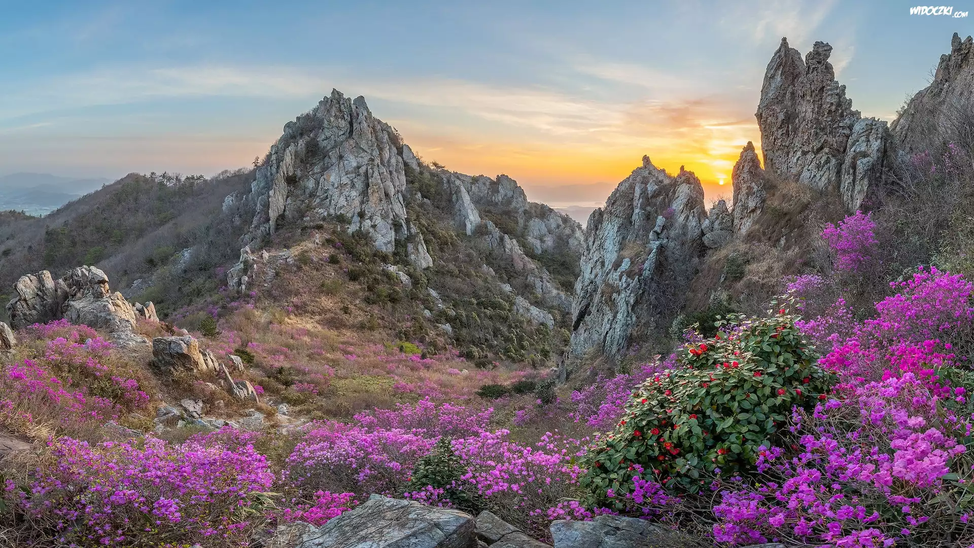 Korea Południowa, Góry Jujaksan, Skały, Kwiaty