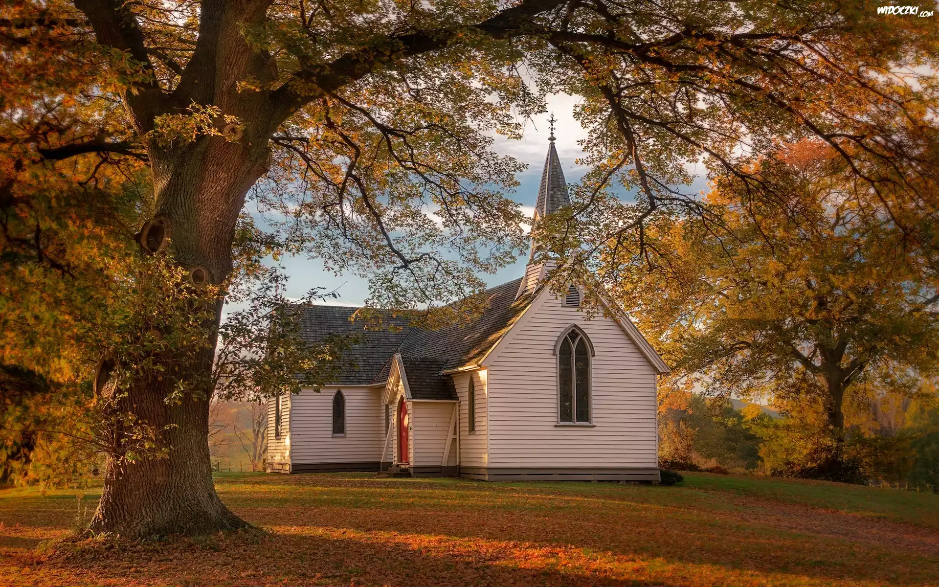 Drzewo, Jesień, Kościół, Christ Church, Liście, Region Hawkes Bay, Nowa Zelandia