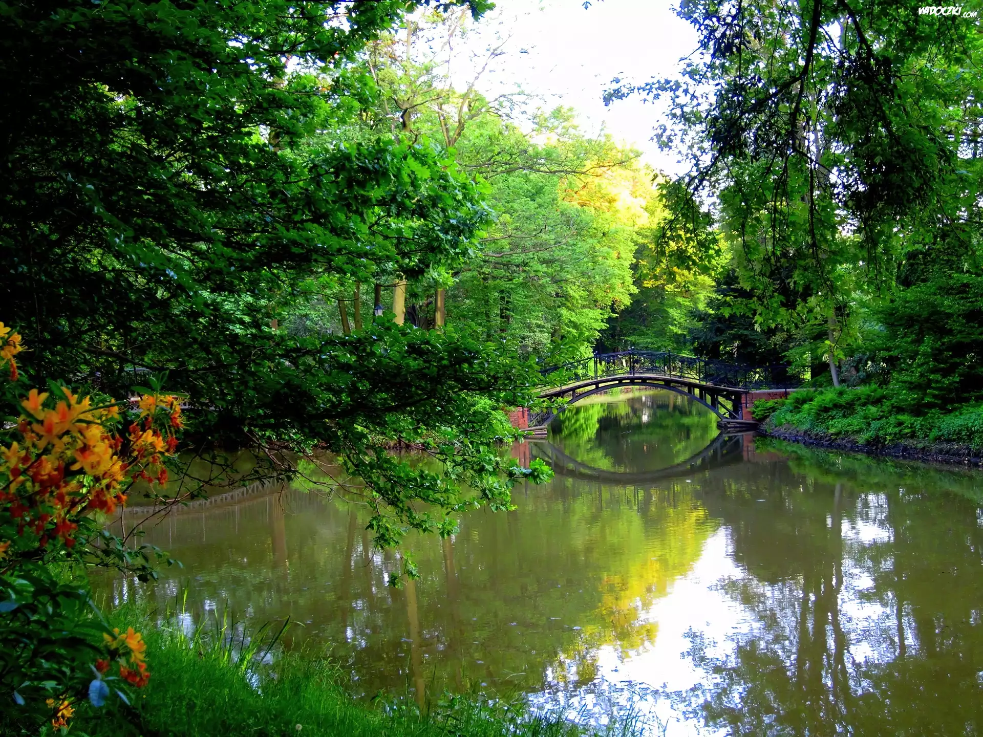 Krajobraz, Park, Most, Woda