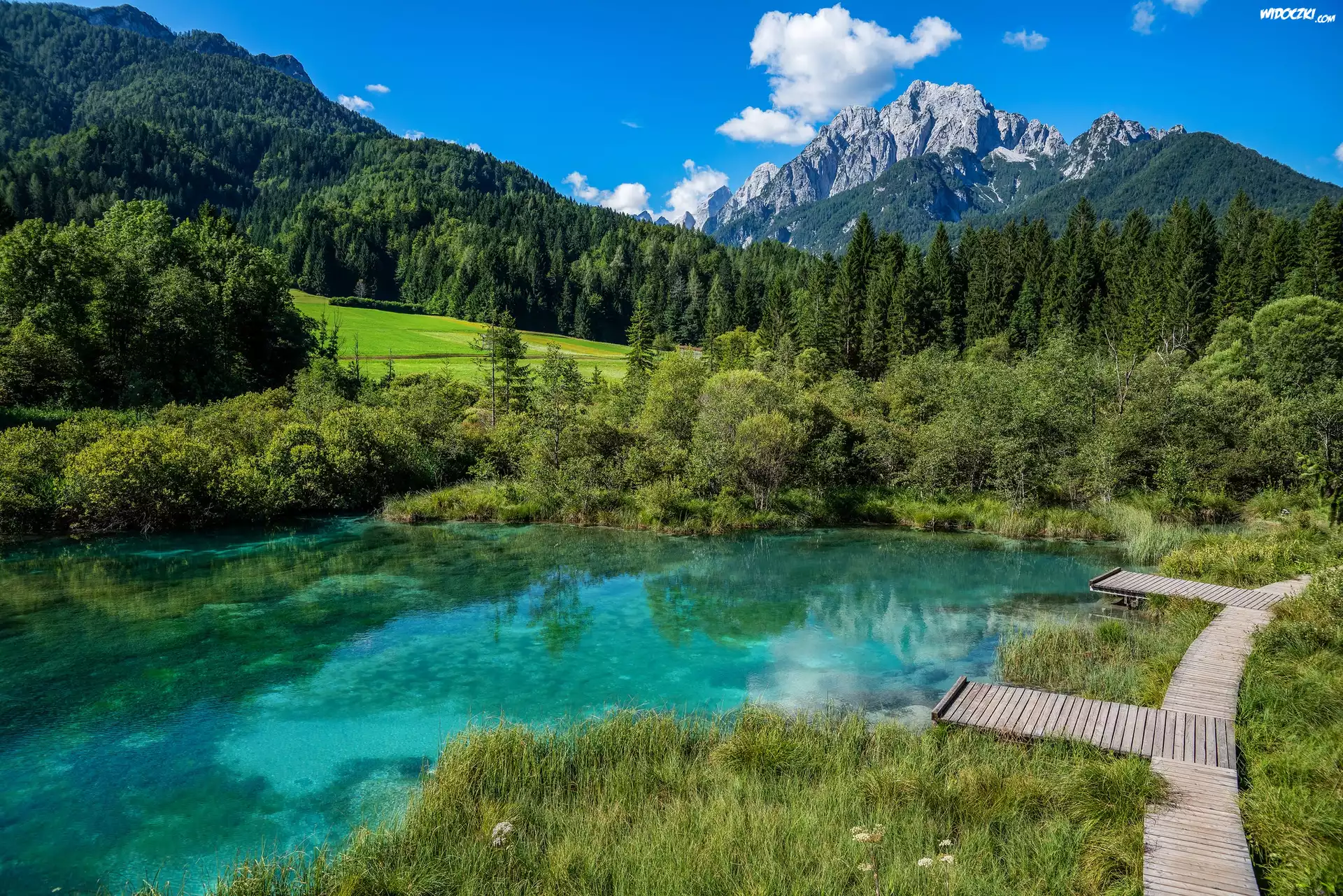 Góry, Las, Drzewa, Jezioro, Rezerwat przyrody Zelenci, Trawa, Pomosty, Kranjska Gora, Słowenia