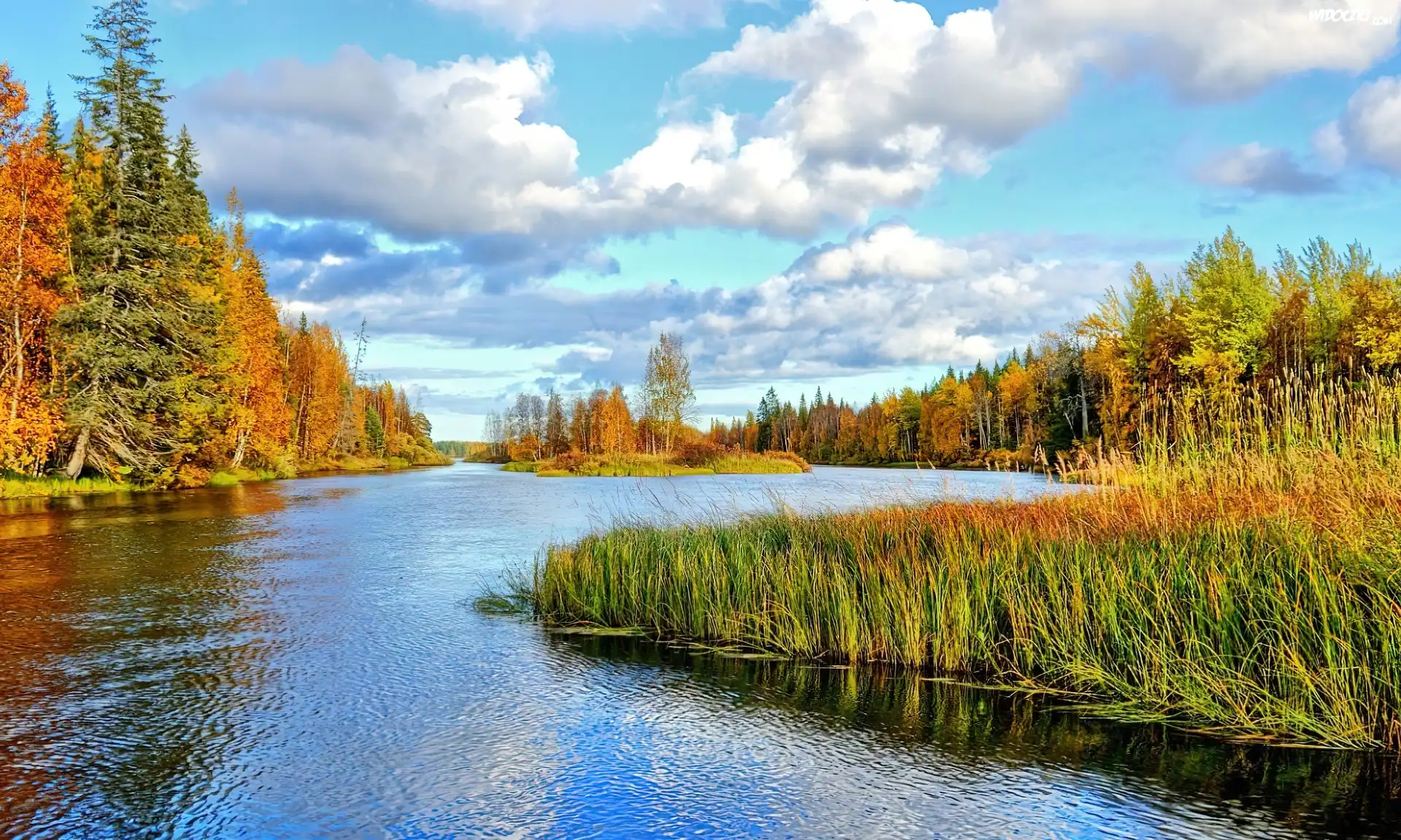 Kręta, Rzeka, Las, Chmury