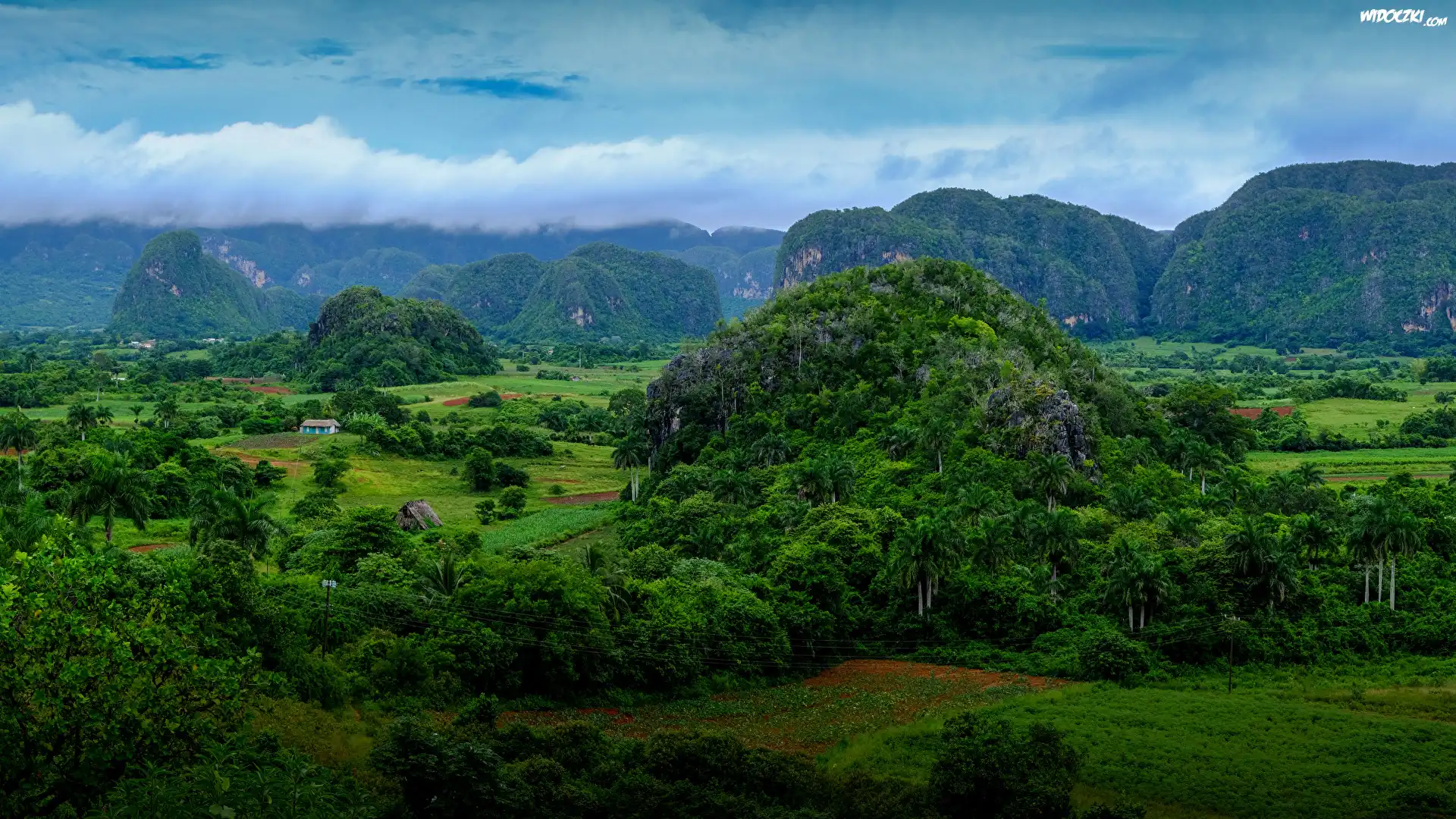 Kuba, Prowincja Pinar del Rio, Dolina Valle de Vinales, Wzgórza, Pasmo Sierra de los Organos