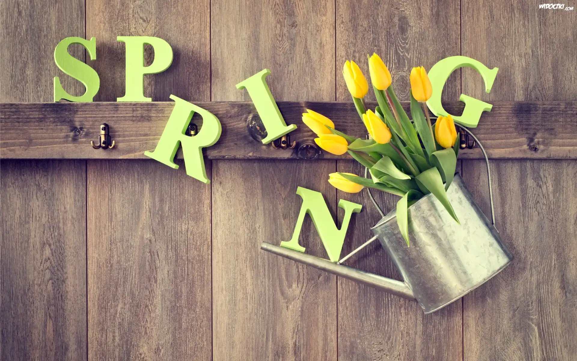Kwiaty, Tulipany, Konewka, Wiosna