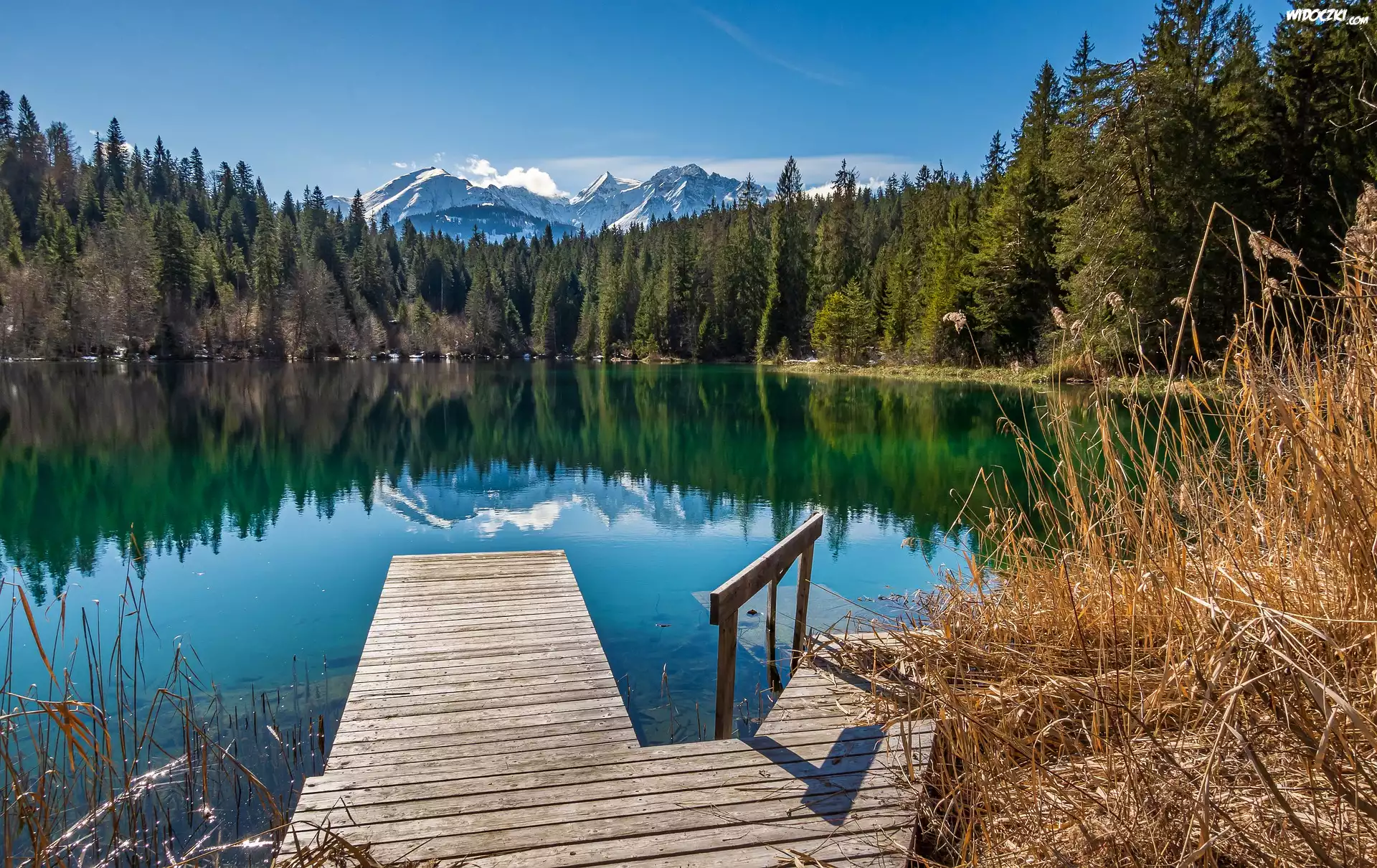 Jezioro, Cresta Lake, Pomost, Drzewa, Trzcina, Góry, Alpy, Kanton Gryzonia, Szwajcaria