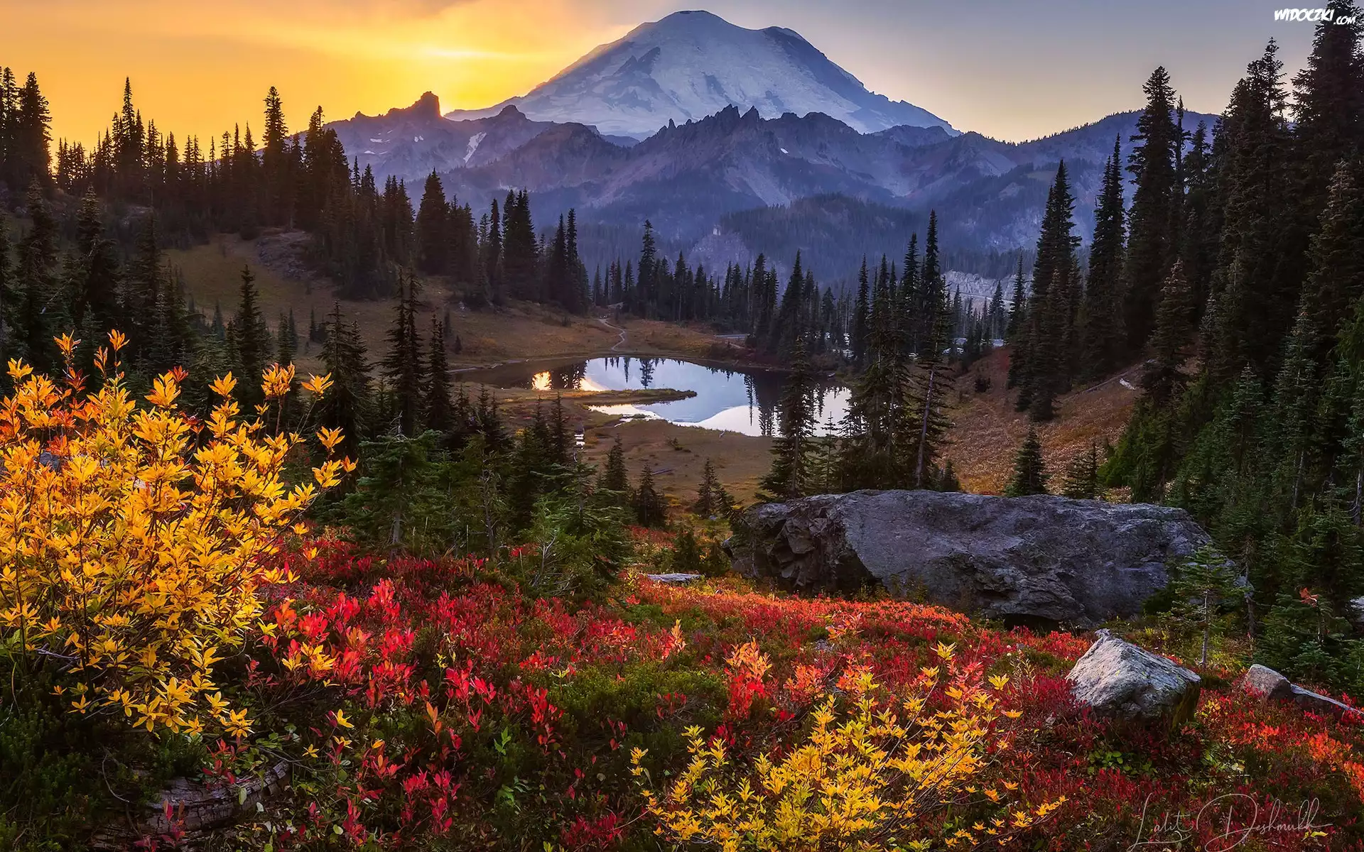 Zachód słońca, Stratowulkan Mount Rainier, Jezioro, Tipsoo Lake, Waszyngton, Stany Zjednoczone, Drzewa, Skała, Krzewy, Góry