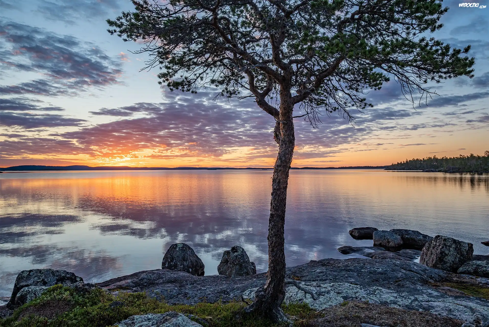 Jezioro, Lake Inari, Drzewo, Zachód słońca, Chmury, Finlandia