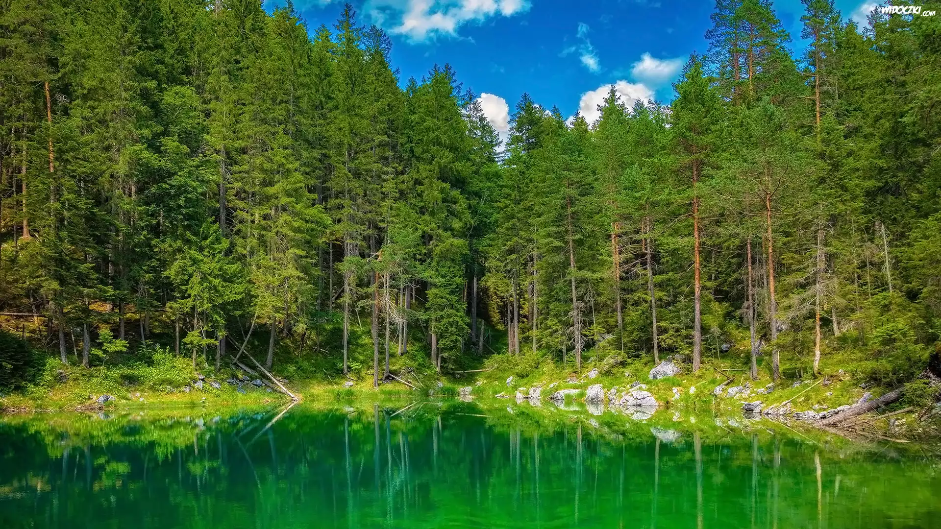 Drzewa, Jezioro, Eibsee Lake, Bawaria, Niemcy