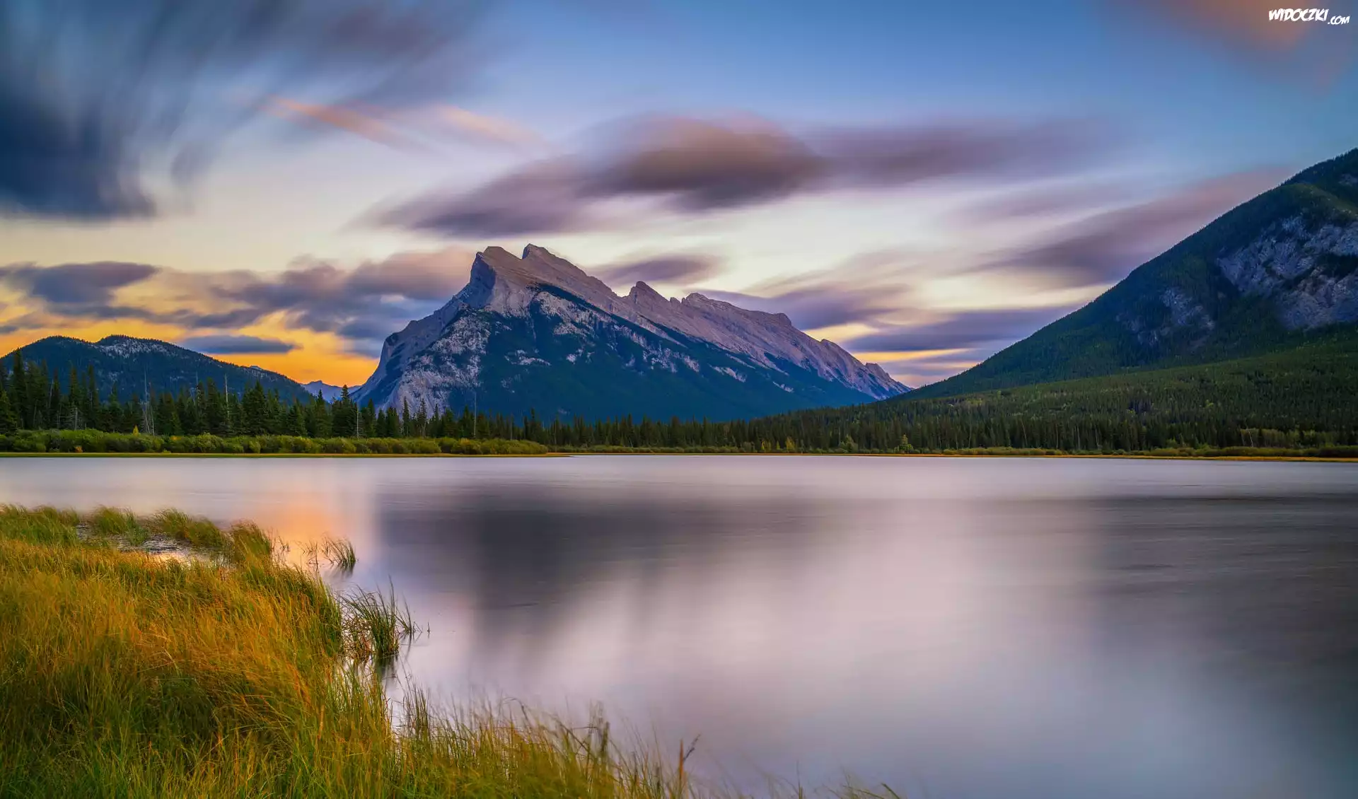 Park Narodowy Banff, Góry, Jezioro, Vermilion Lakes, Las, Drzewa, Alberta, Kanada
