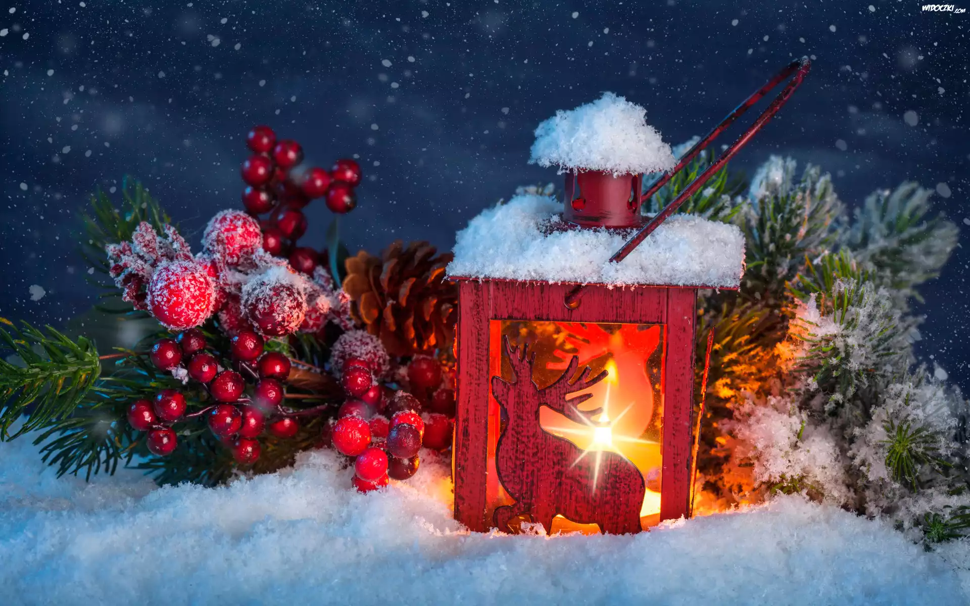 Lampion, Śnieg, Gałązki, Ozdoby, Boże Narodzenie