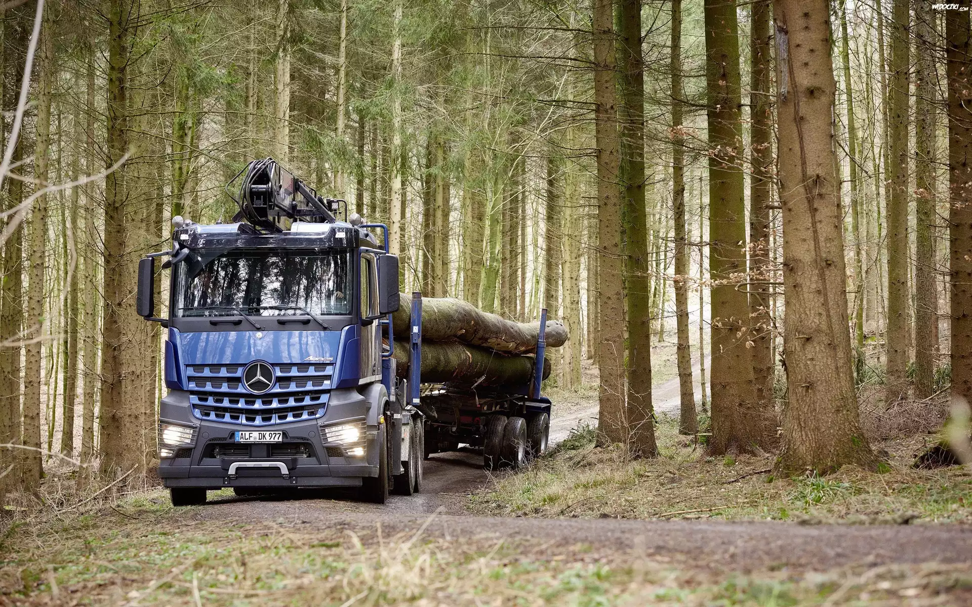 Ciężarówka, Mercedes-Benz Arocs 2658 L 6×4, 2016, Las
