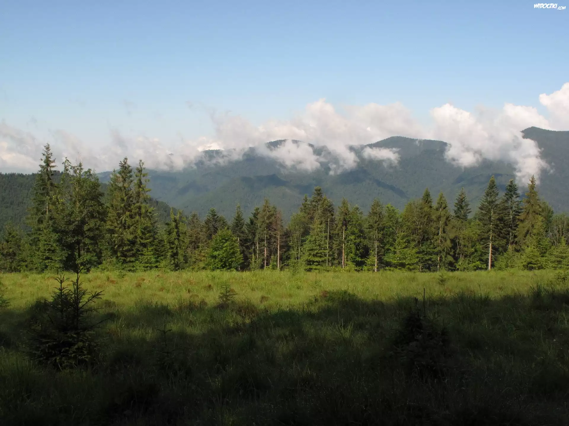 Chmury, Las, Góry