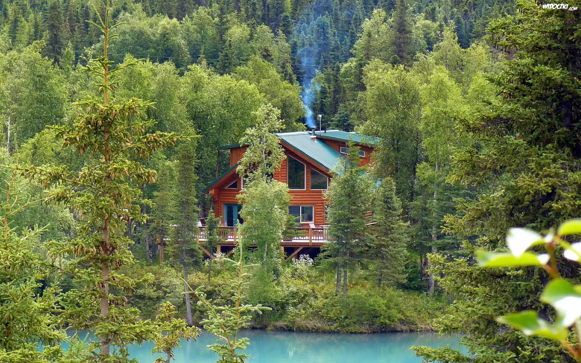 Domek, Las, Rzeka