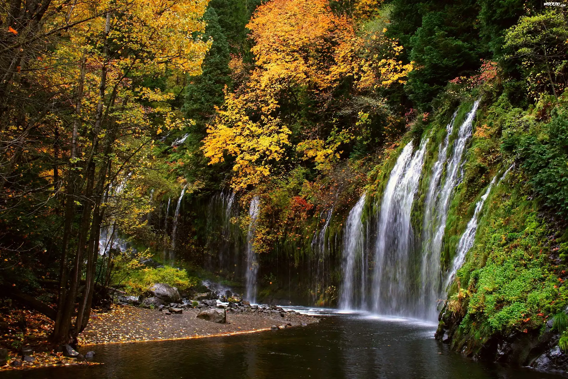 Las, Wodospad, Mossbrae Falls Kalifornia