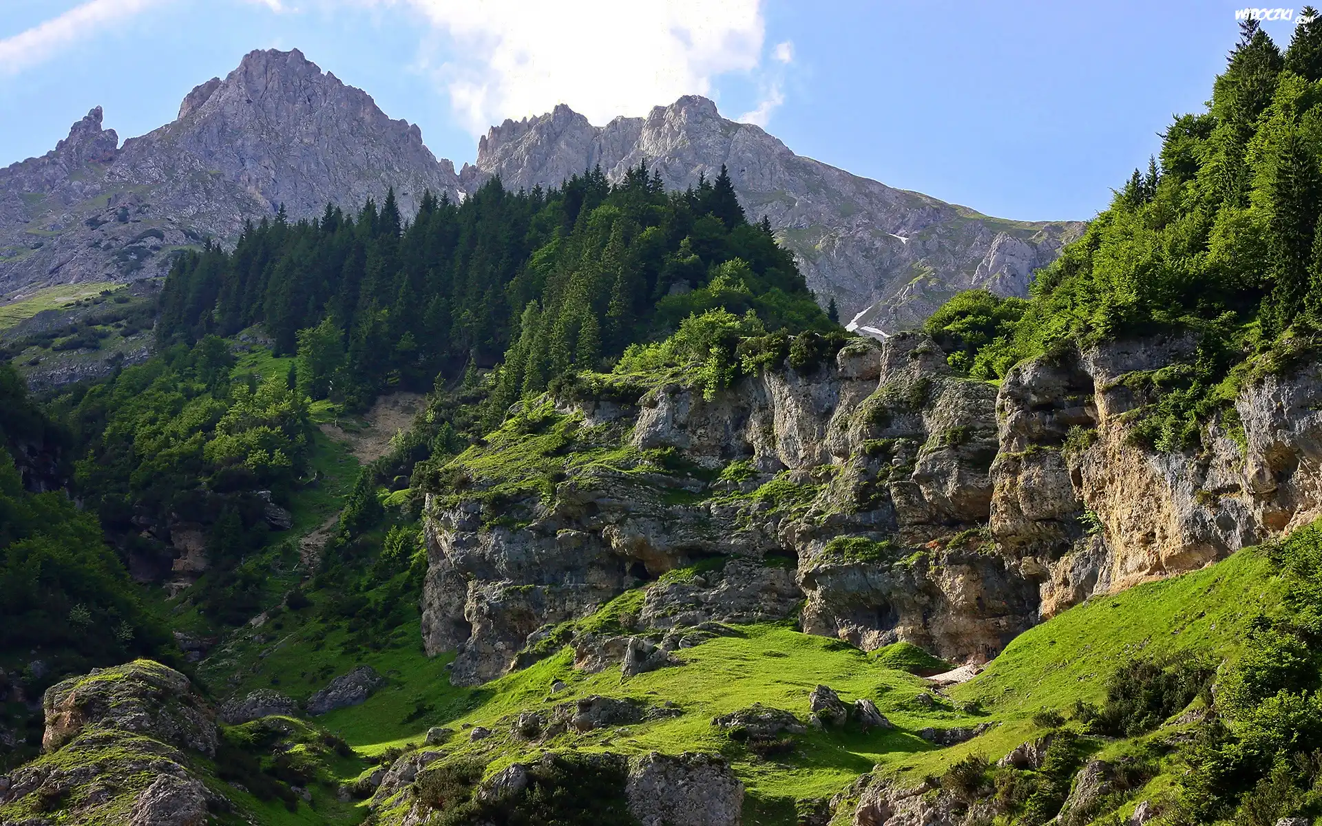 Góry, Las, Skały