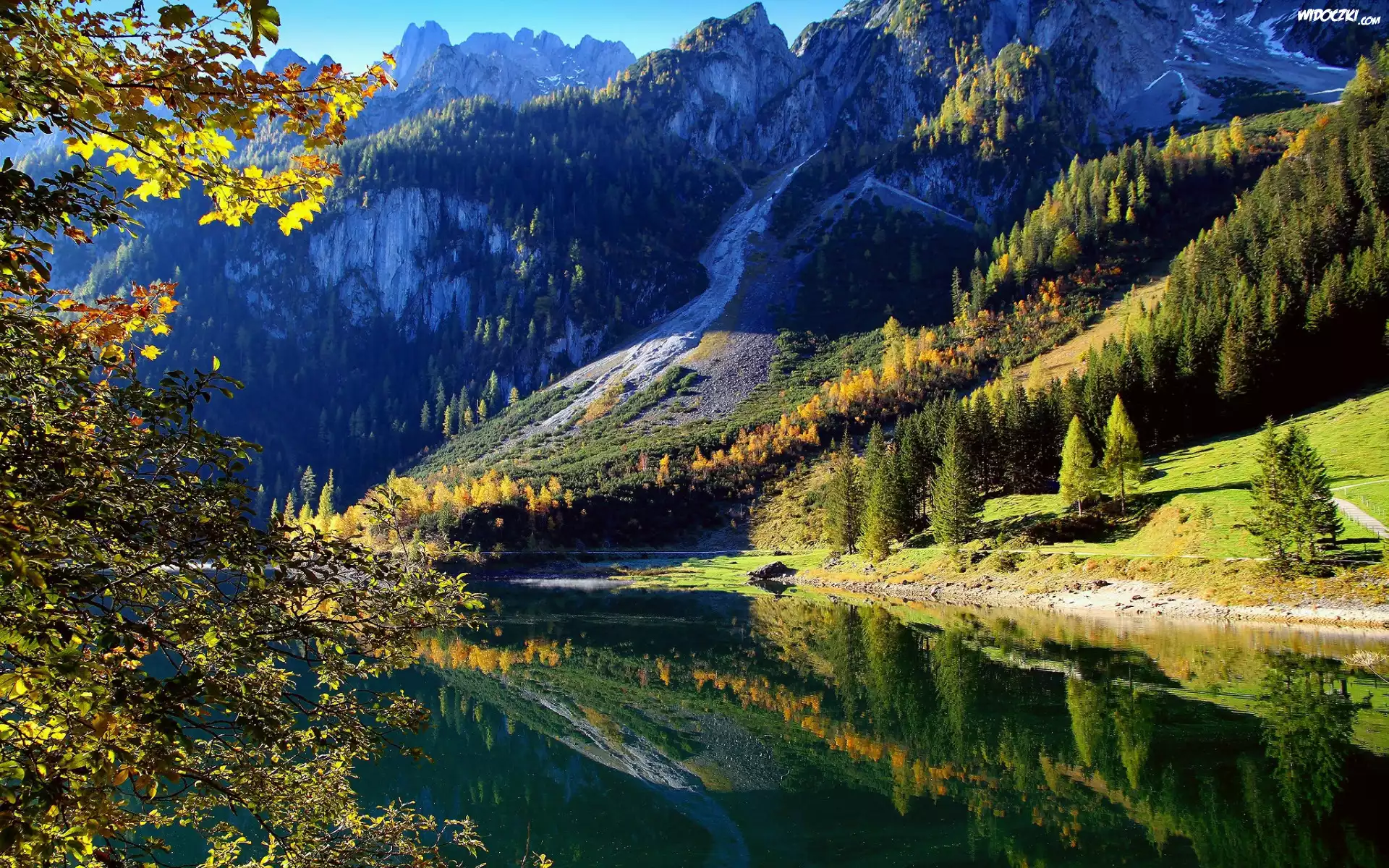 Las, Góry, Drzewa, Jezioro Gosau, Austria