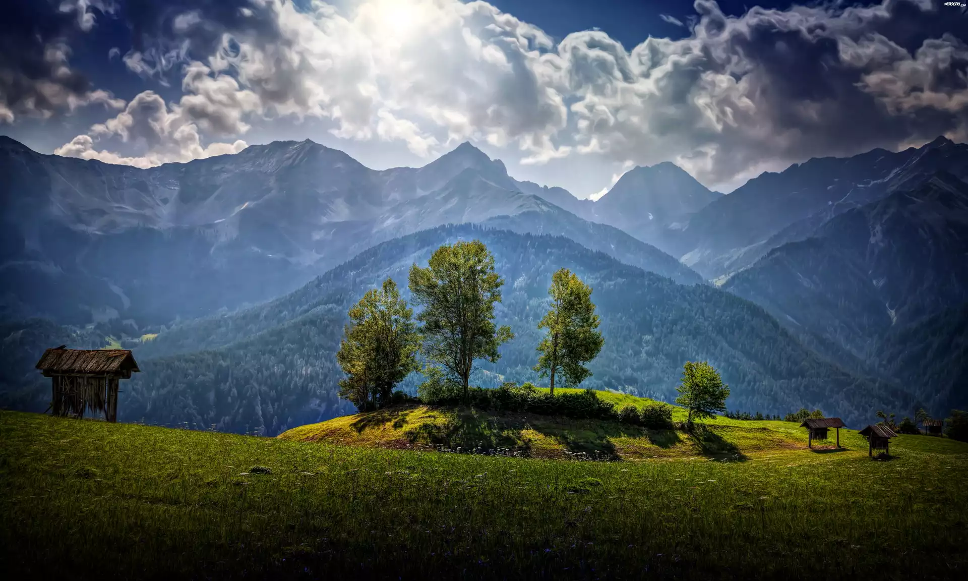 Góry, Las, Chmury, Łąka, Przebijające, Światło, Austria, HDR