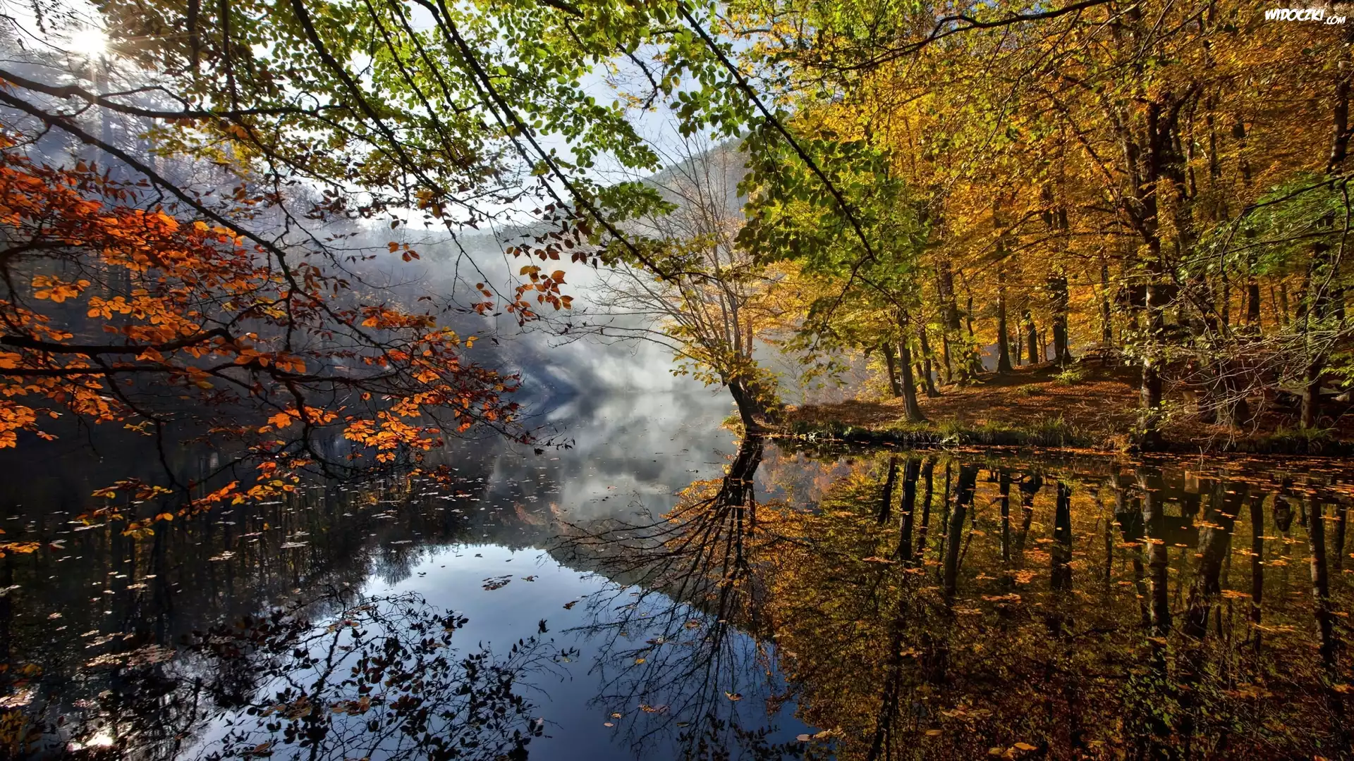 Jesień, Las, Jezioro