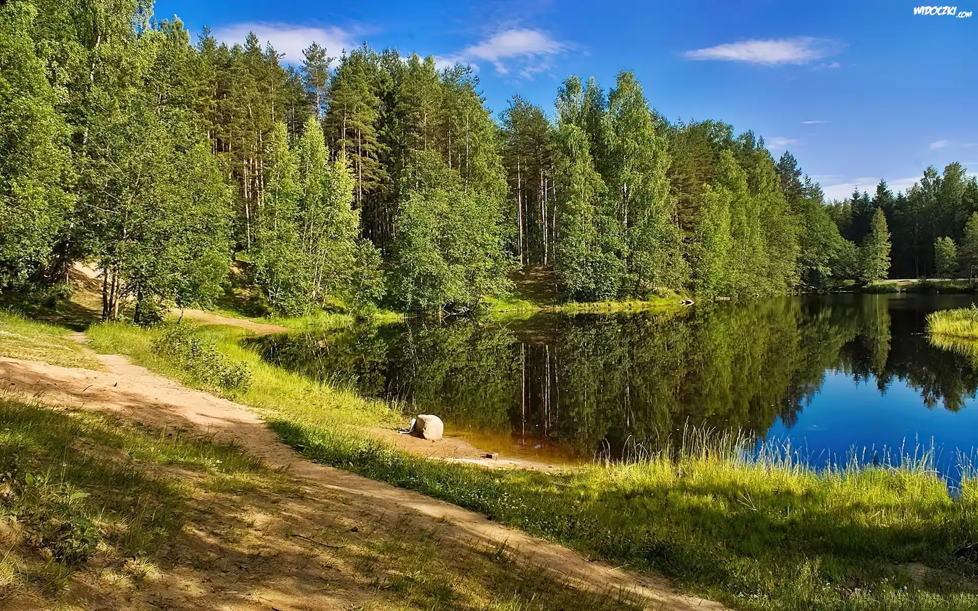 Jezioro, Las, Ścieżka