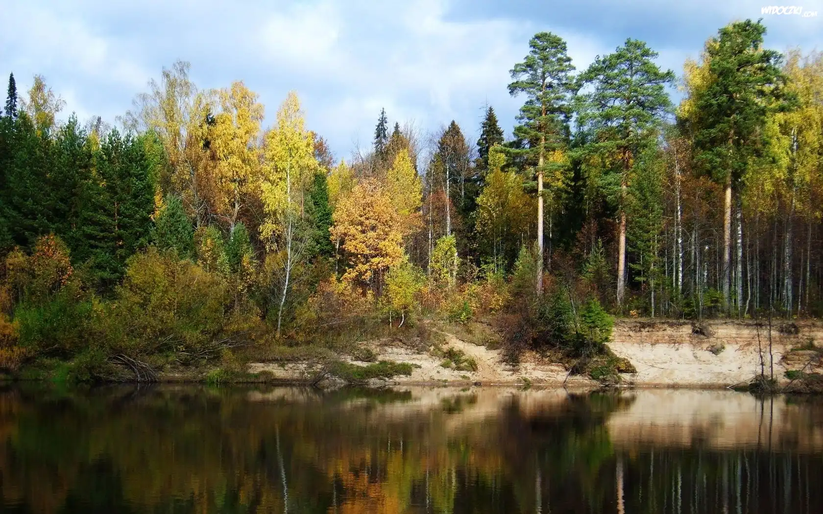 Jezioro, Las, Jesień