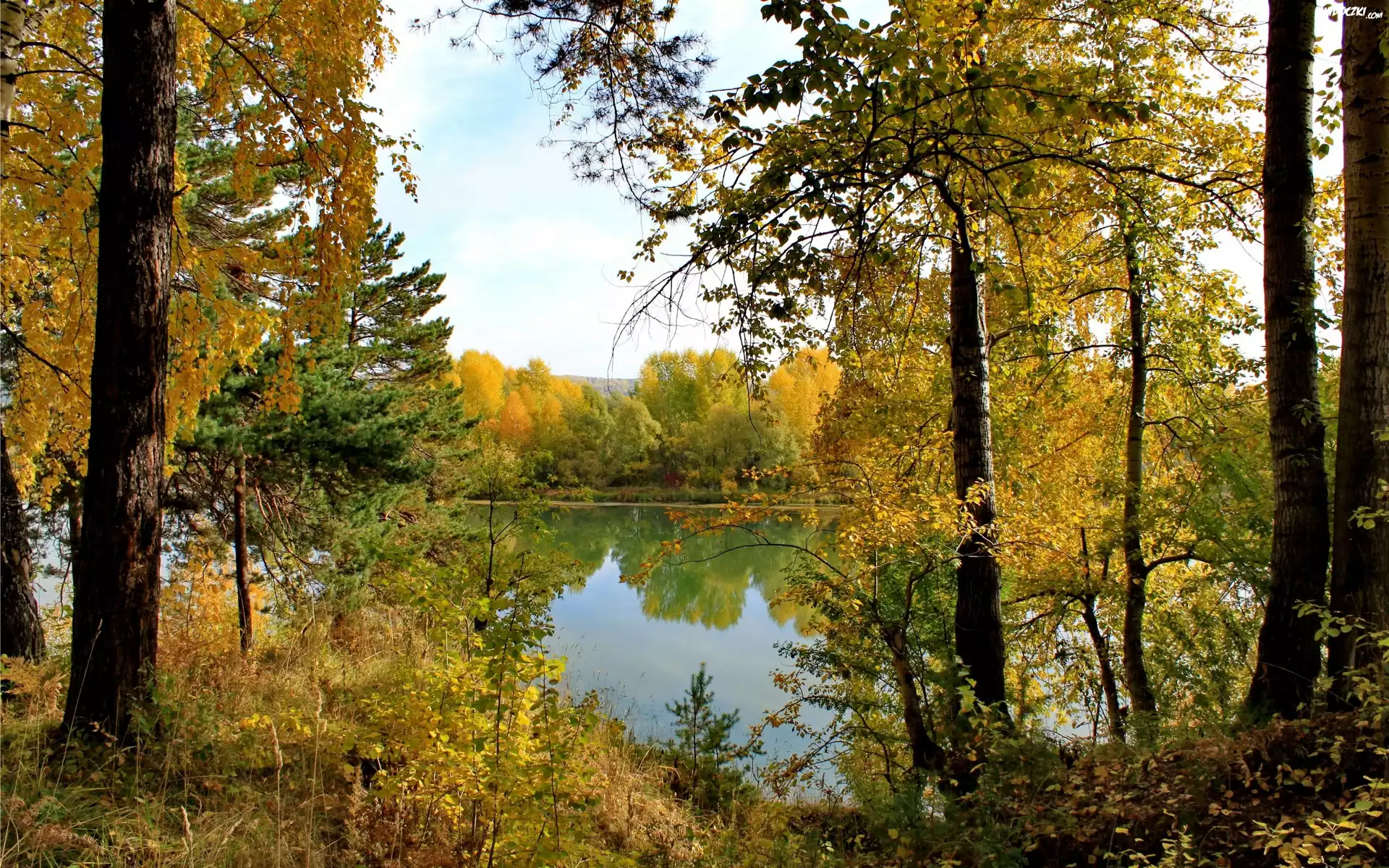 Jezioro, Las, Jesień