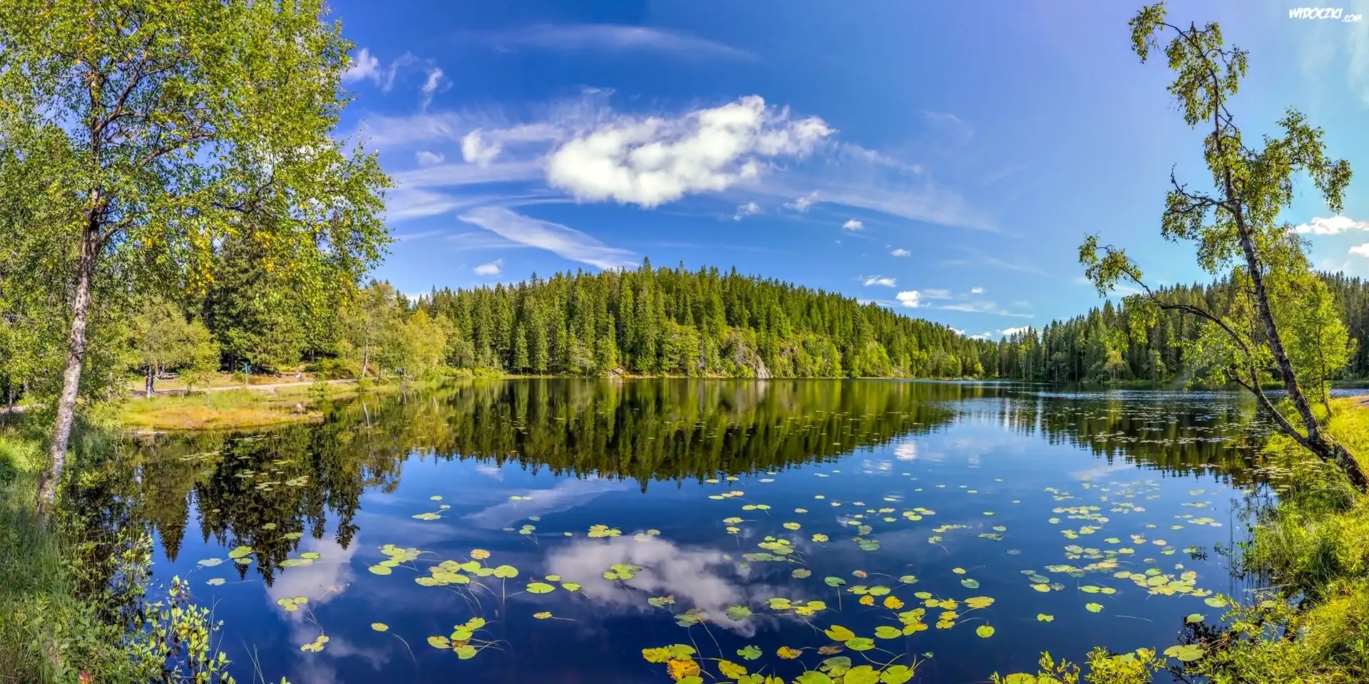 Jezioro, Las, Norwegia
