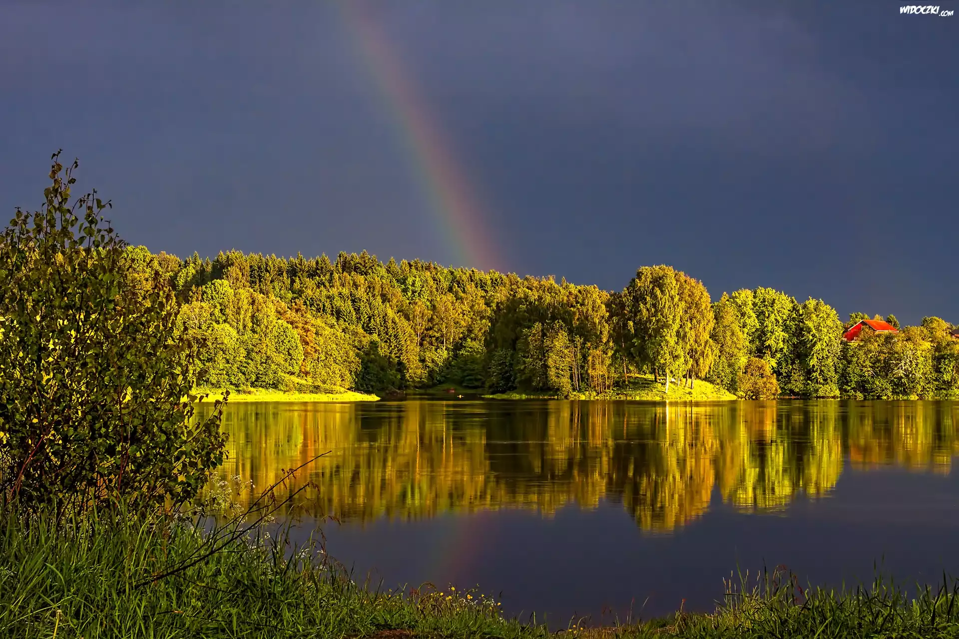 Jezioro, Las, Tęcza