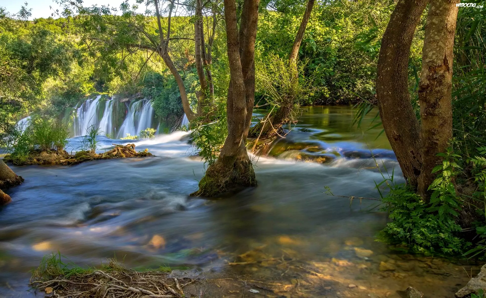 Bośnia i Hercegowina, Wodospady Kravica, Rzeka Trebižat, Wodospad, Las