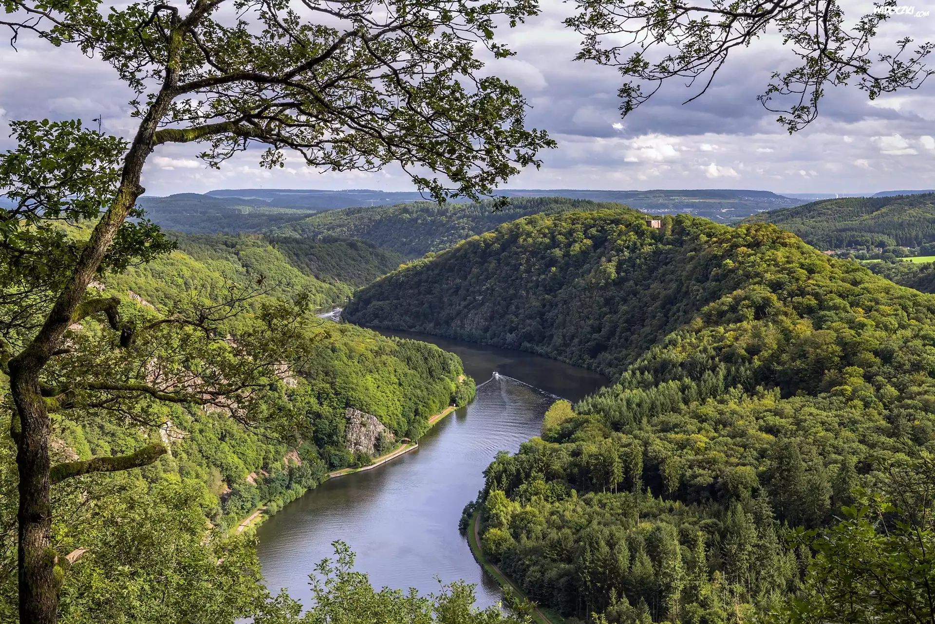 Las, Rzeka Saara, Drzewa, Dolina Saary, Mettlach-Orschholz, Niemcy