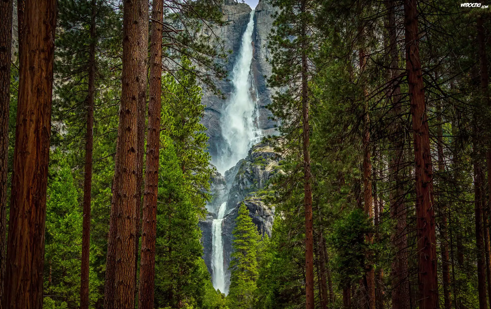 Stany Zjednoczone, Kalifornia, Park Narodowy Yosemite, Wodospad Upper Yosemite Fall, Drzewa, Las, Stany Zjednoczone, Kalifornijski