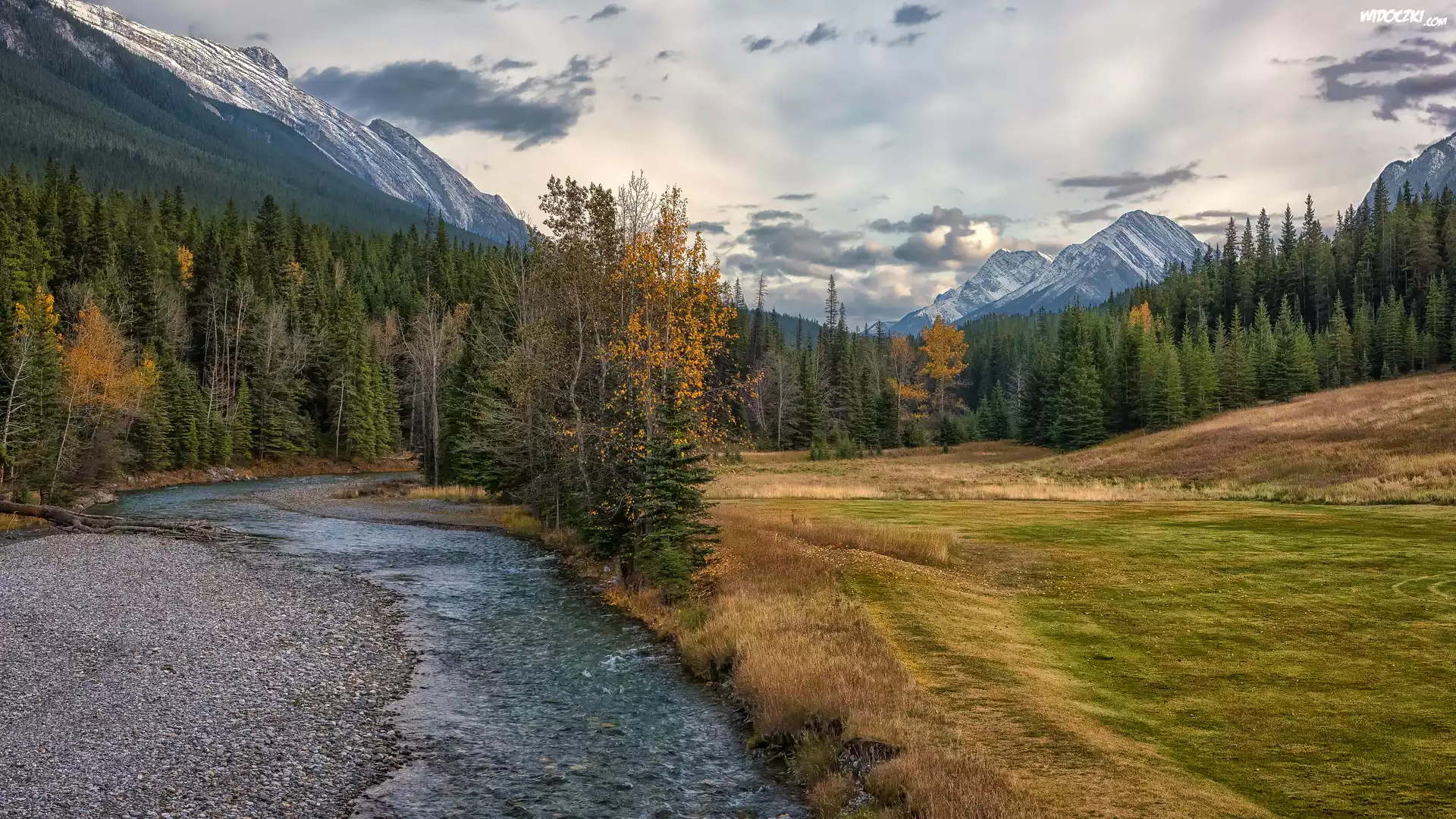 Rzeka, Spray River, Drzewa, Las, Łąka, Góry, Canadian Rockies, Park Narodowy Banff, Alberta, Kanada