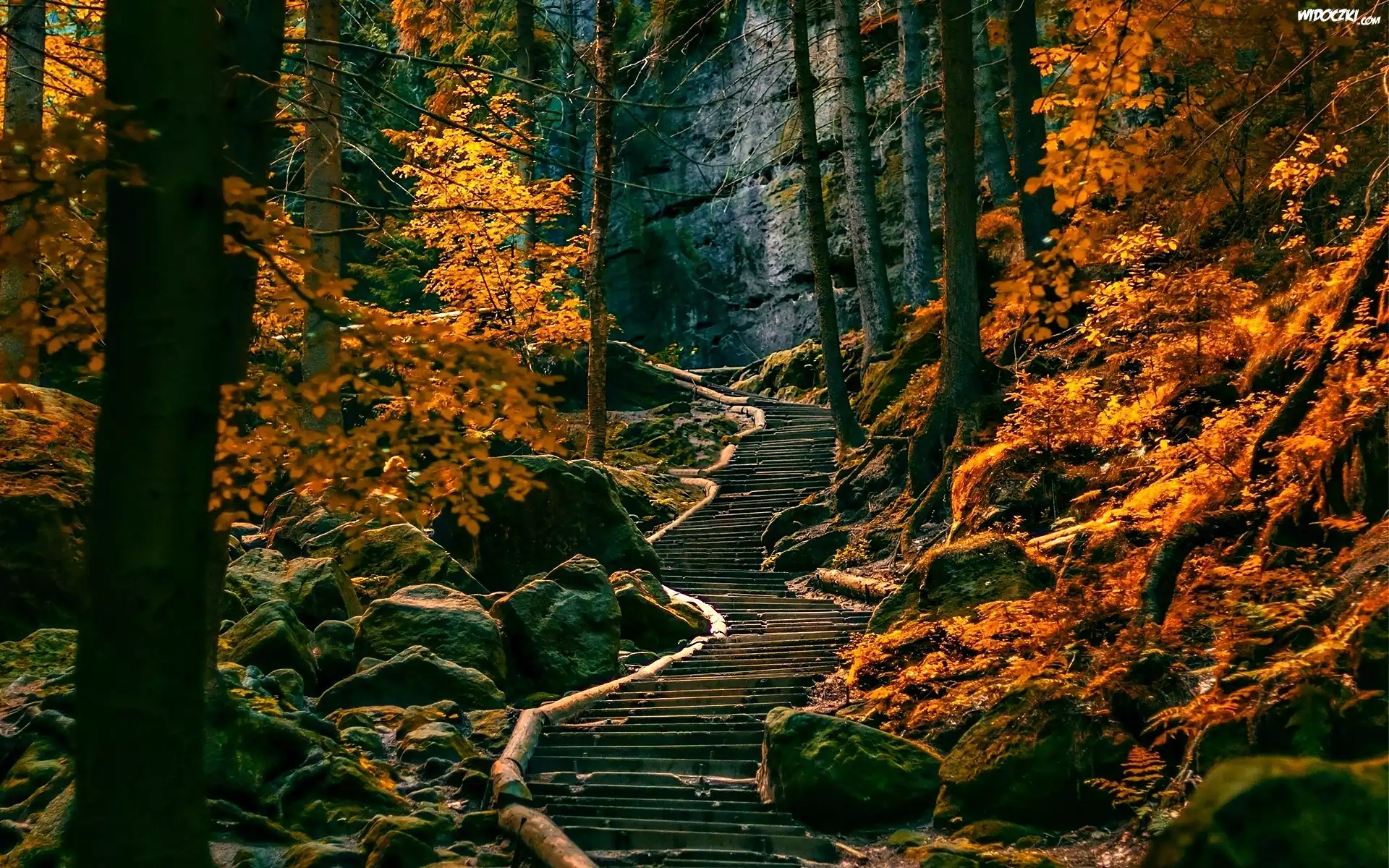 Las, Ścieżka, Skały, Jesień