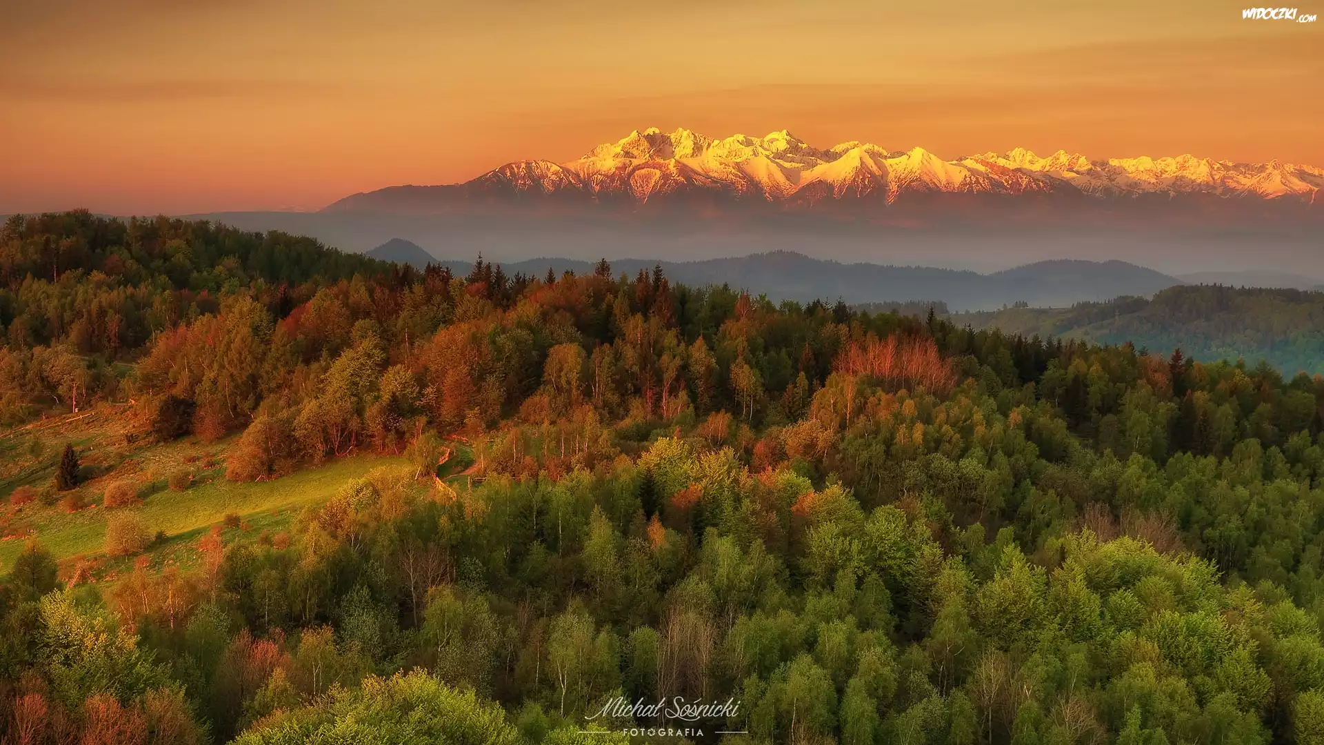 Las, Góry, Tatry, Wschód słońca, Polska