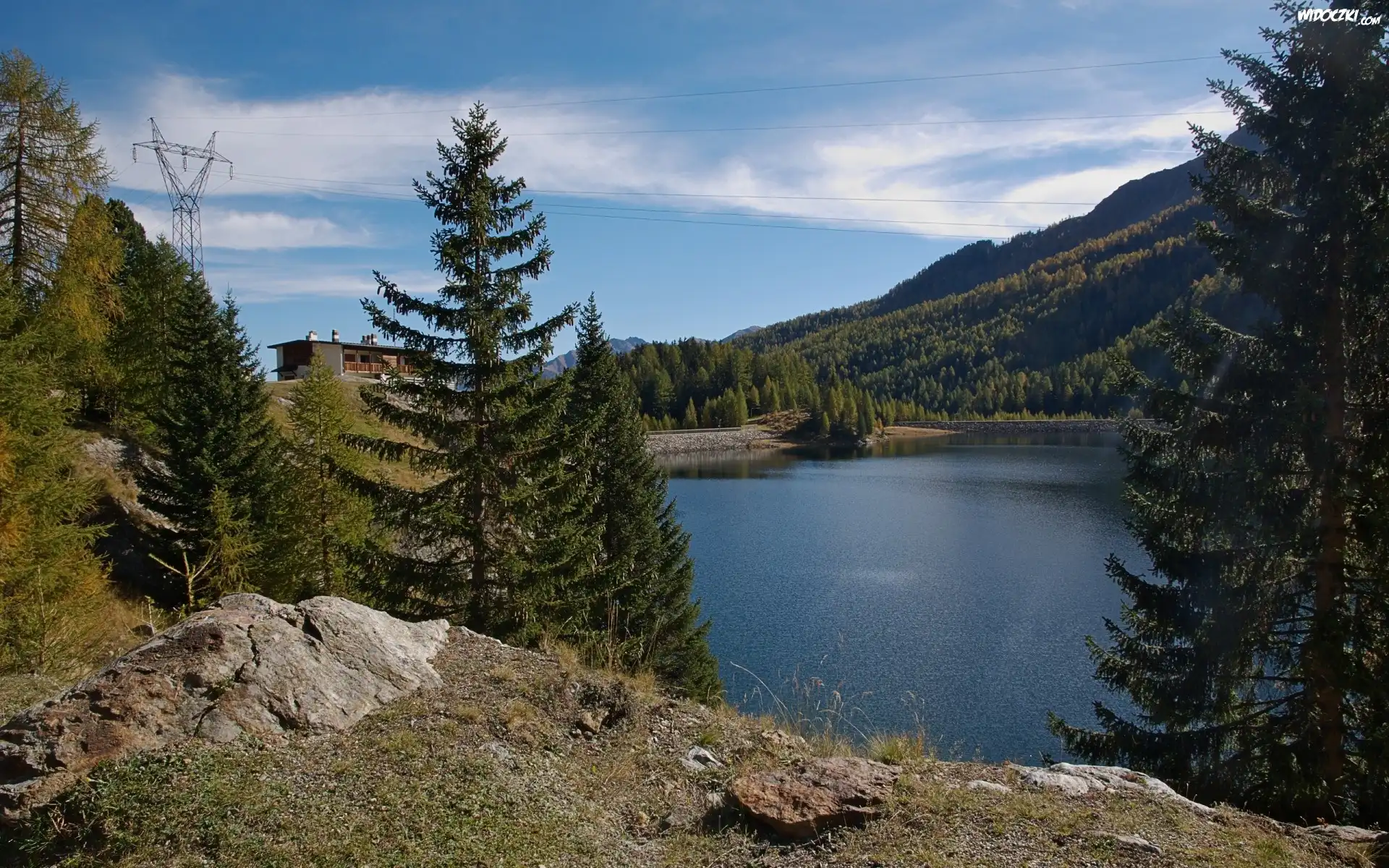 Las, Domek, Jezioro, Drzewa, Stacja, Prądu