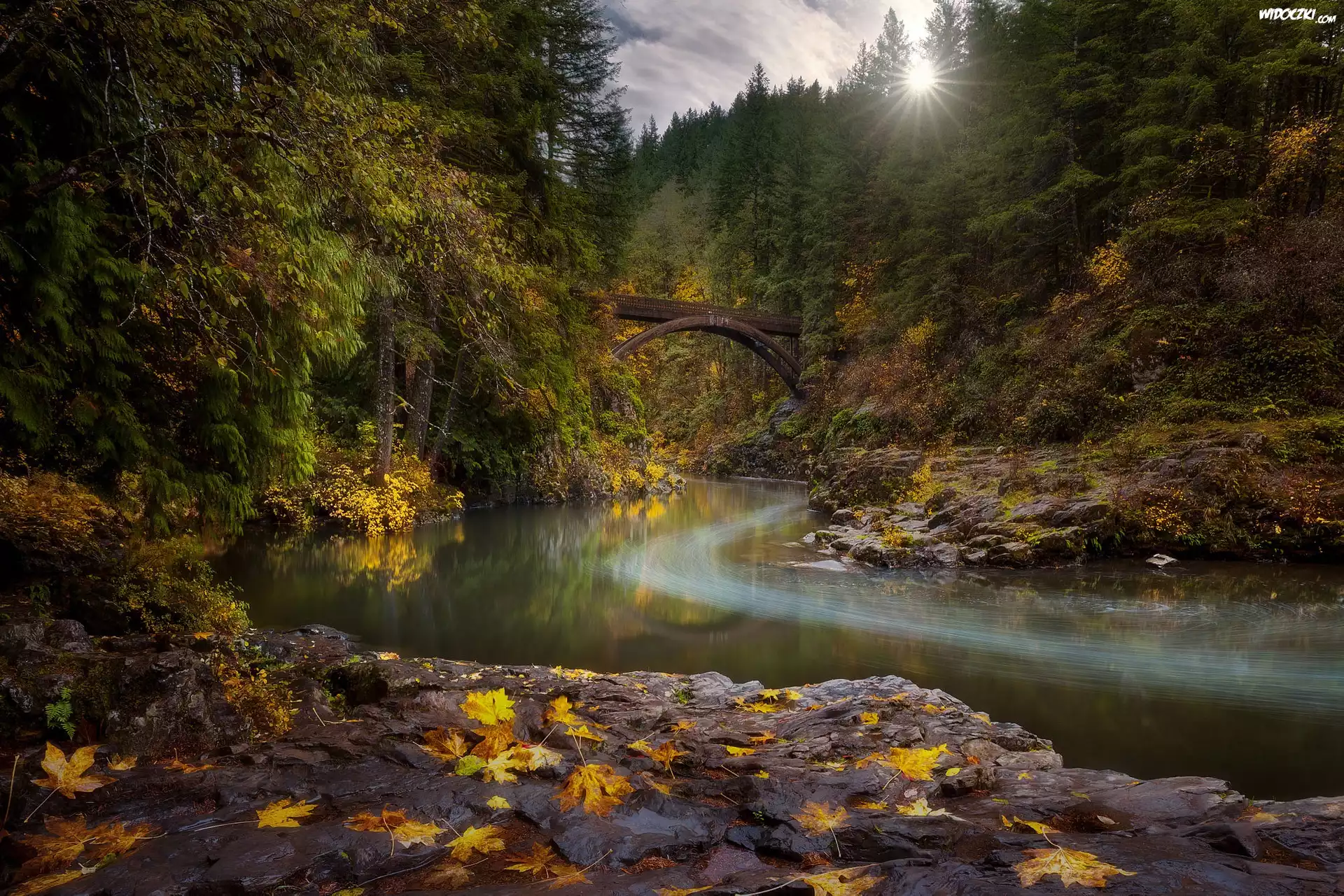 Las, Jesienne, Drzewa, Rzeka Lewis River, Most Moulton Falls Bridge, Skały, Stan Waszyngton, Stany Zjednoczone