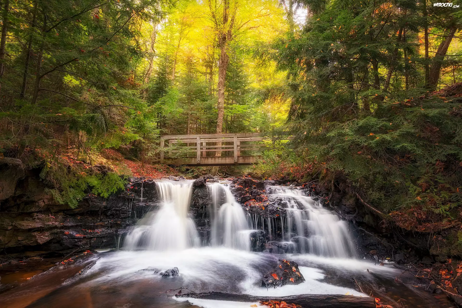 Las, Wodospad Chapel Falls, Jesień, Mostek, Park Narodowy Pictured Rocks National Lakeshore, Miejscowość Munising, Stan Michigan, Stany Zjednoczone