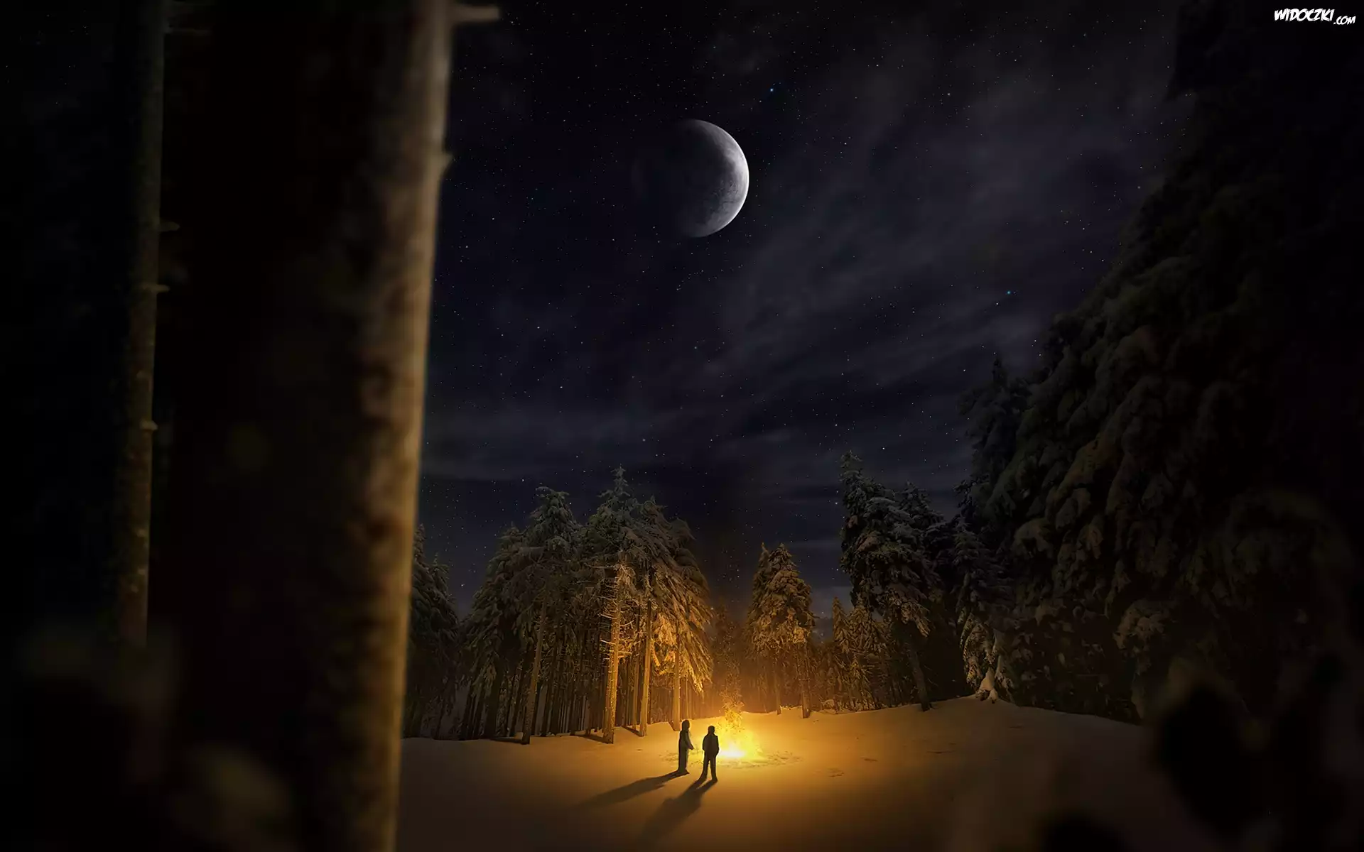 Zima, Las, Ognisko