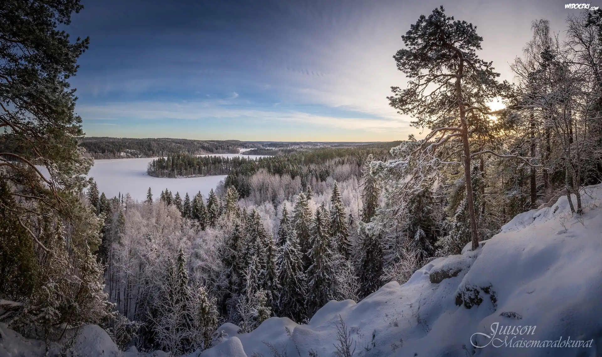 Zima, Park Aulanko, Jezioro Aulangonjarvi, Hameenlinna, Finlandia, Drzewa, Lasy