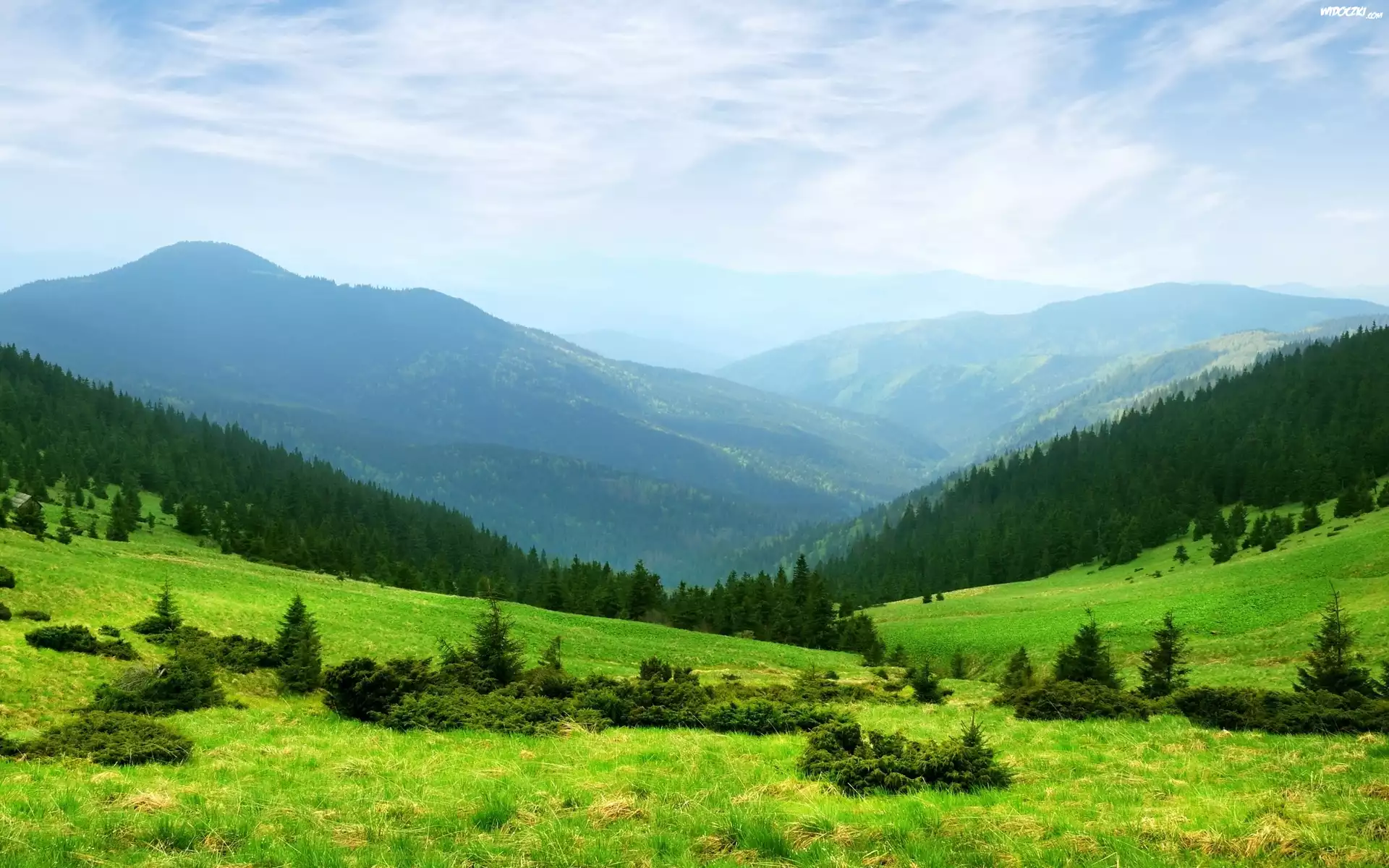 Góry, Lasy, Łąki