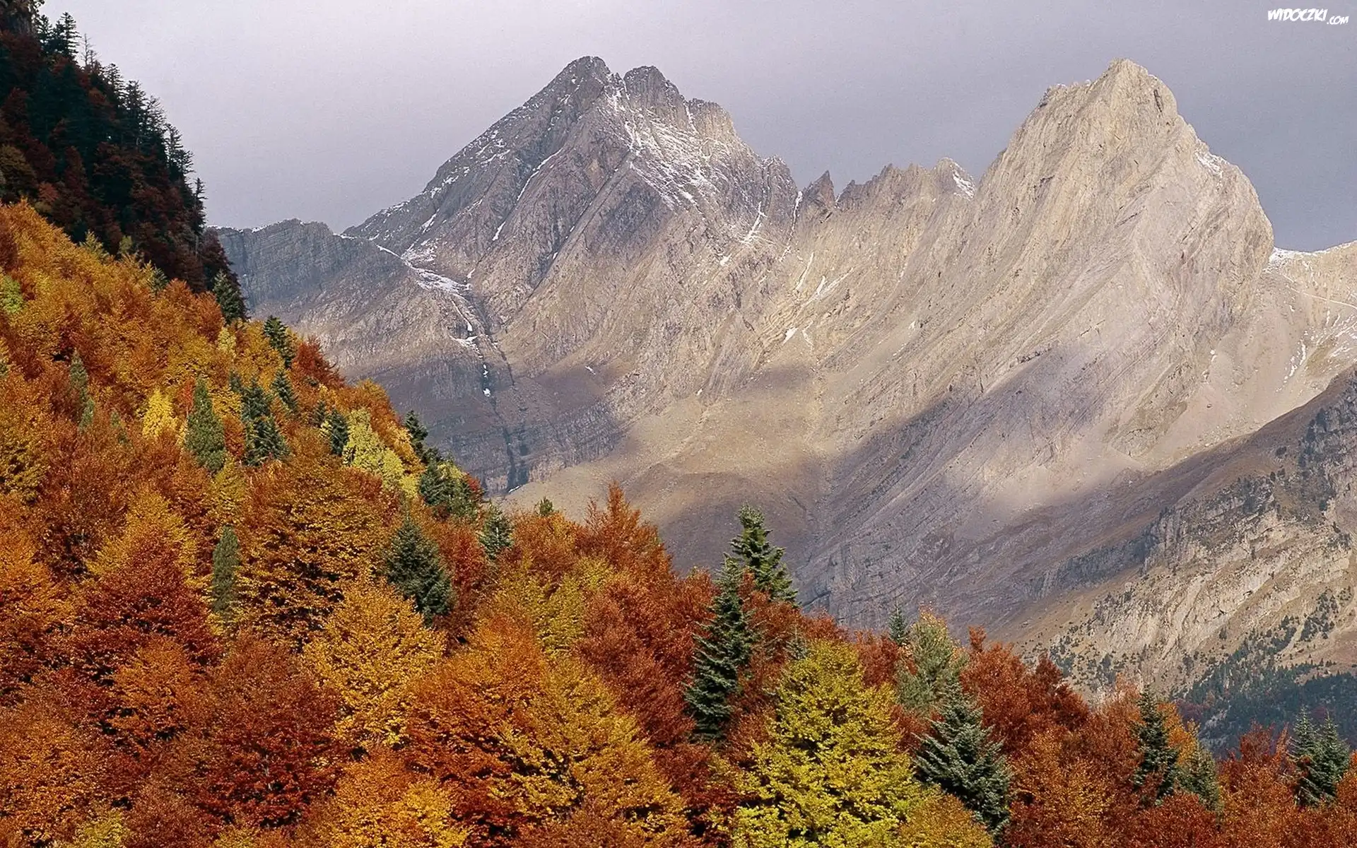 Góry, Lasy, Jesień
