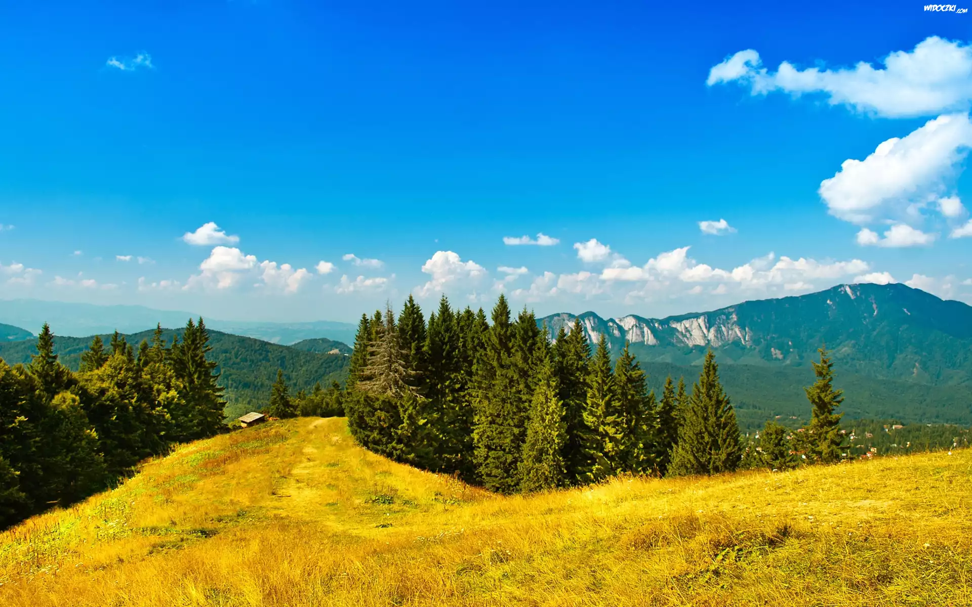 Góry, Lasy, Jesień
