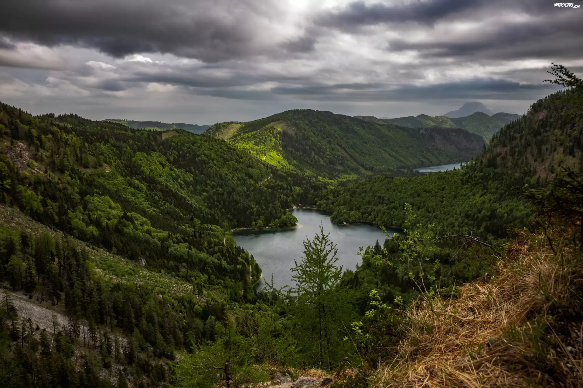 Lasy, Jezioro Langbathseen, Góry, Austria